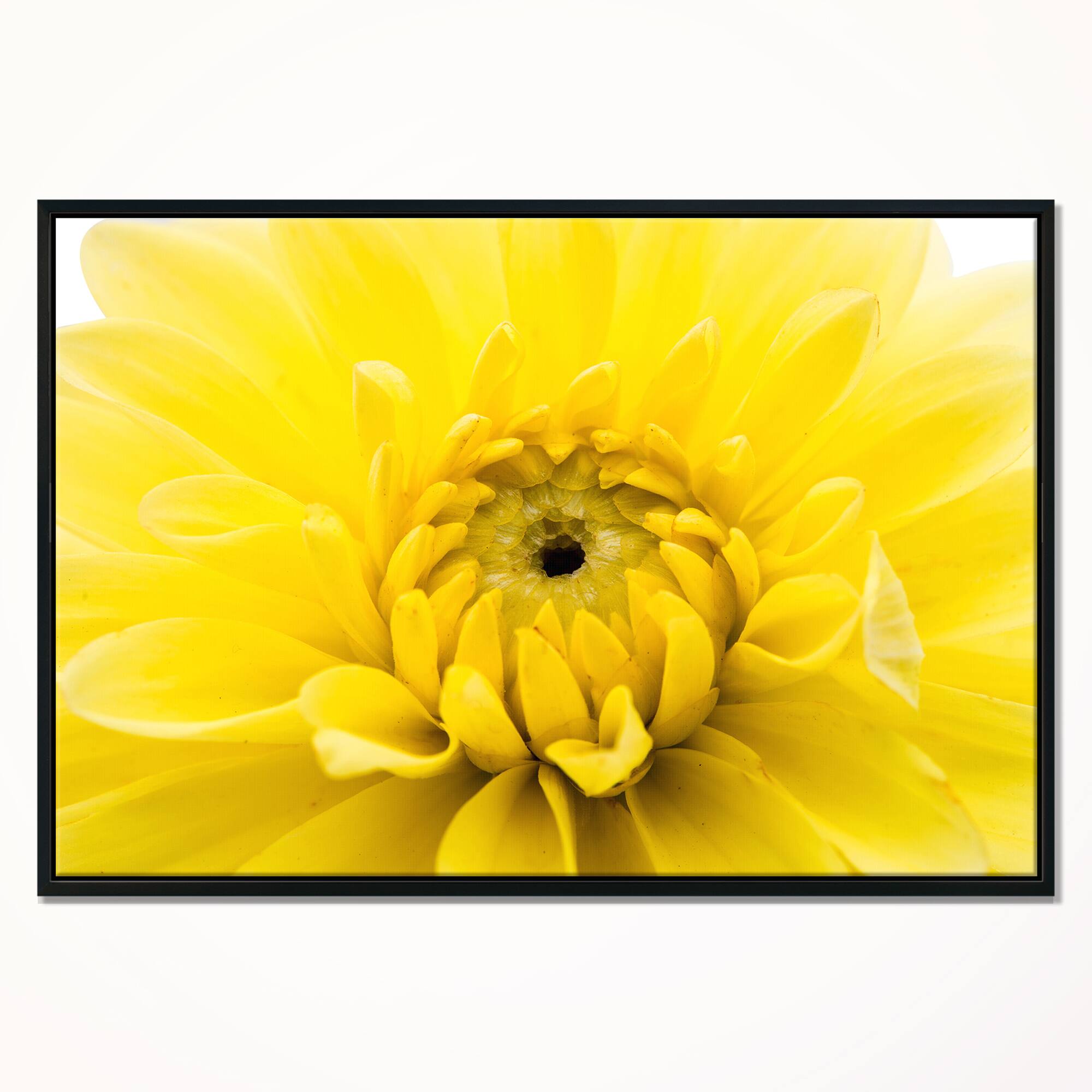 Designart - Yellow Chrysanthemum Gold Flower