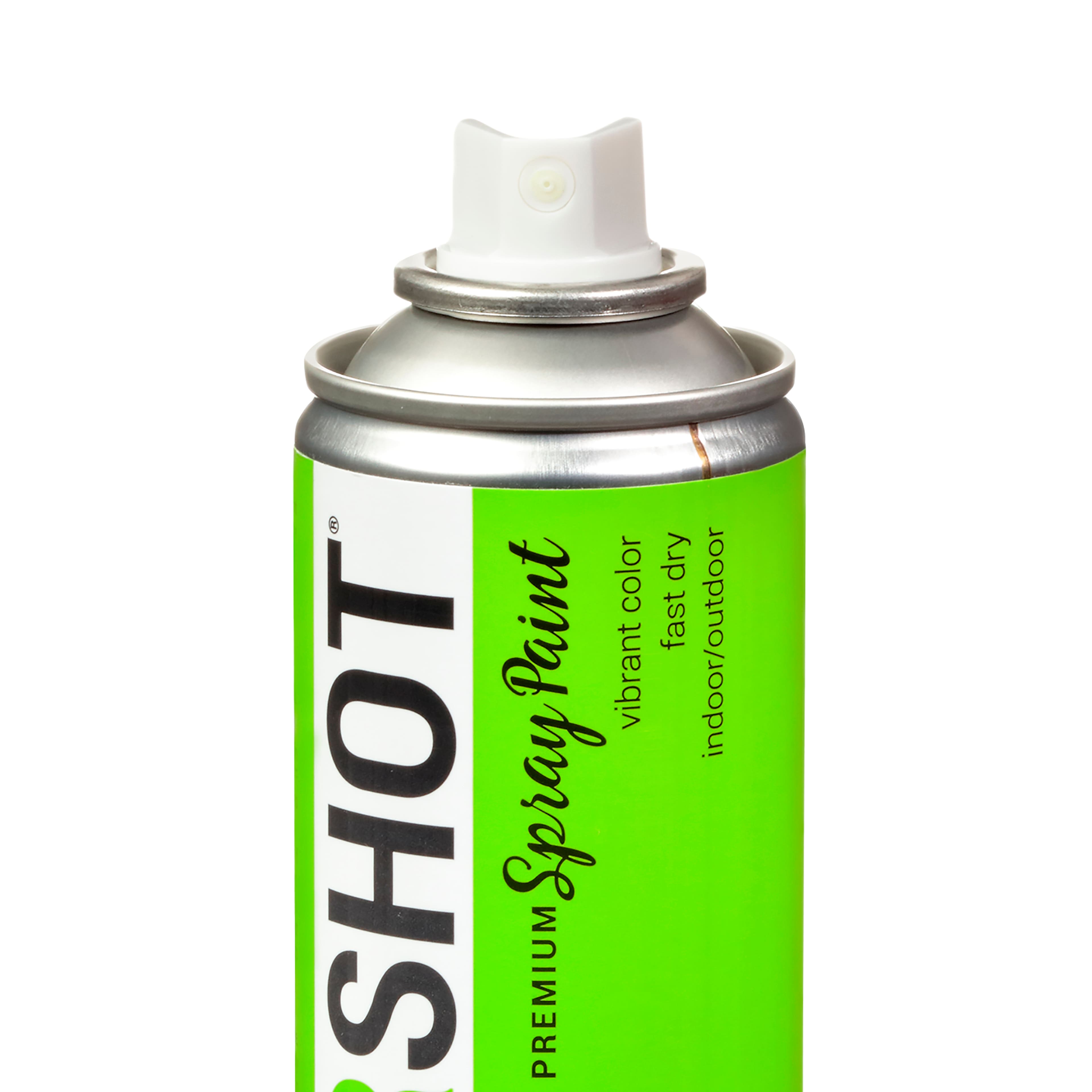 COLORSHOT&#xAE; Premium Gloss Spray Paint