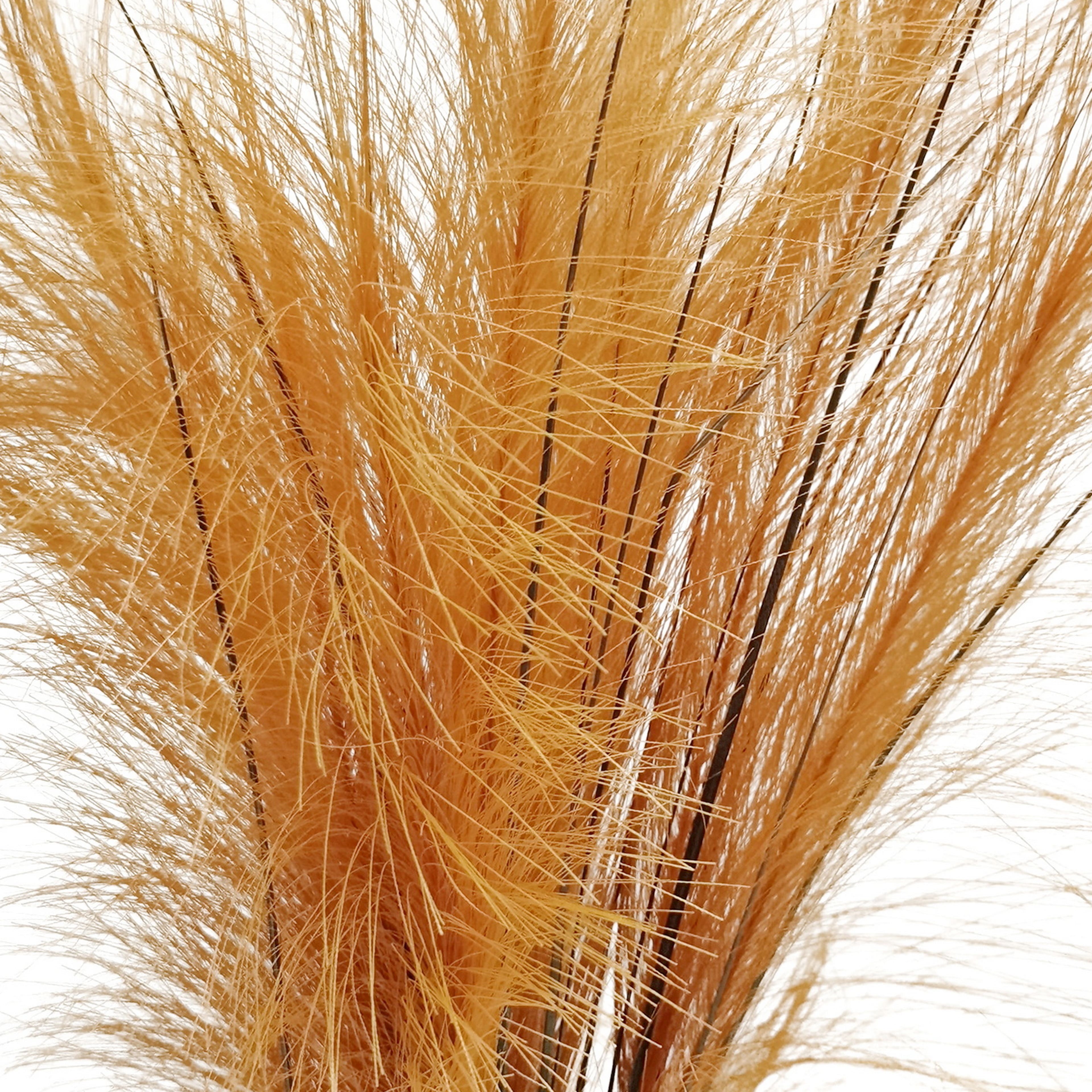 24&#x22; Pampas Grass Bush by Ashland&#xAE;