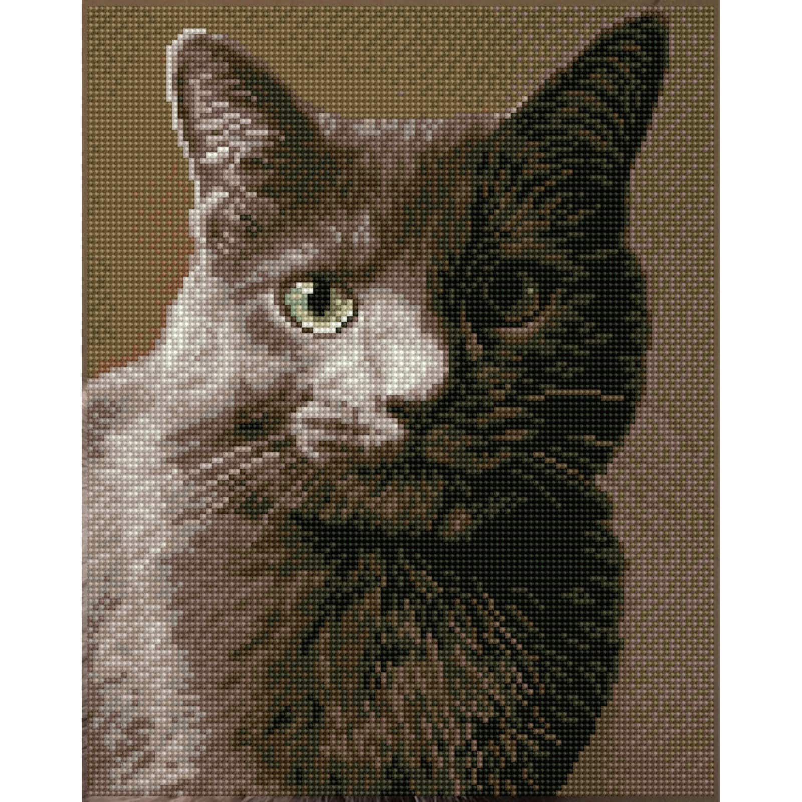 Diamond Dotz&#xAE; Intermediate Smokey Pre-Framed Diamond Painting Kit 