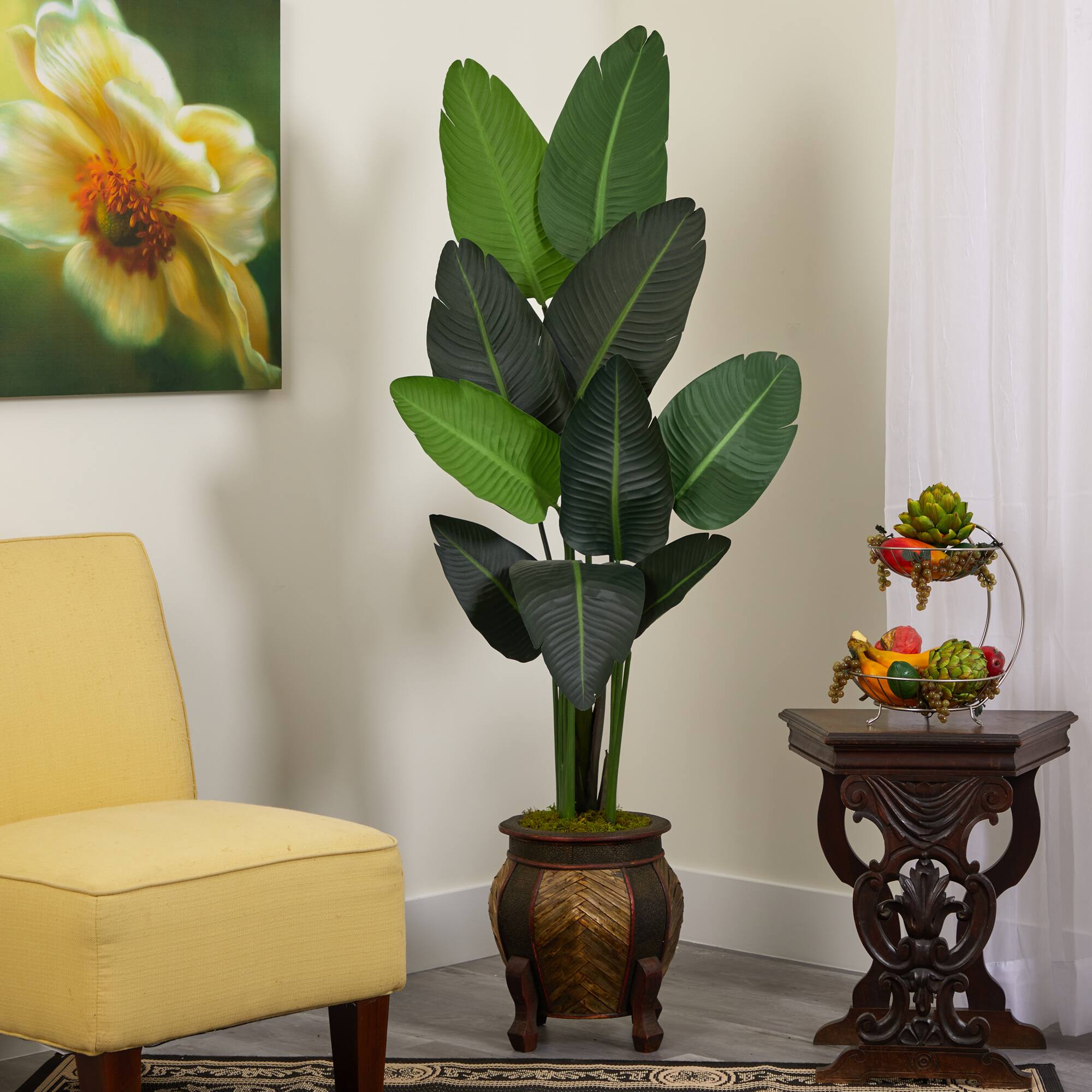 5.5ft. Travelers Palm Tree in Decorative Planter