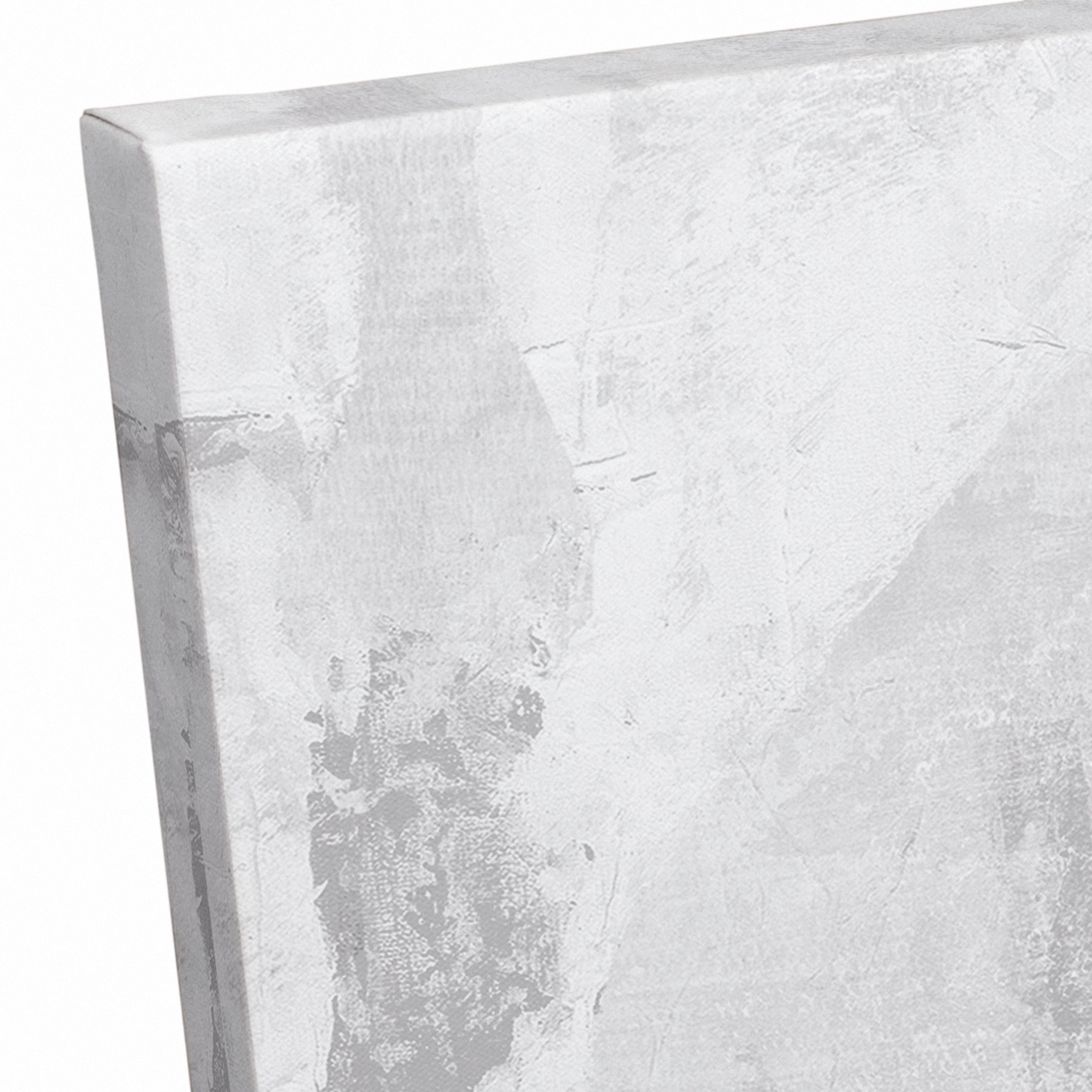 Black And White Distressed Barn 24" x 24" Canvas Wall Art