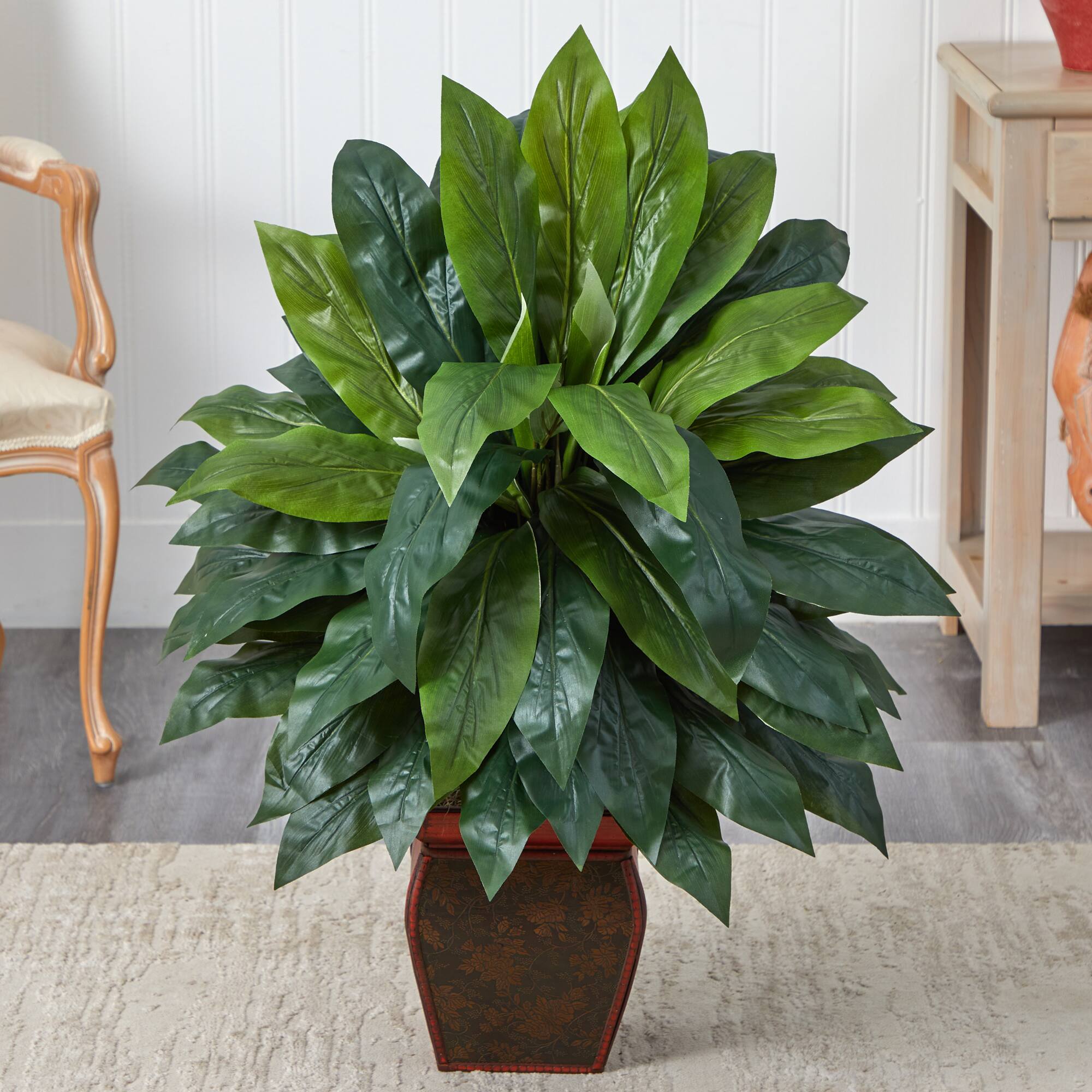 2.9ft. Cordyline Plant in Decorative Planter