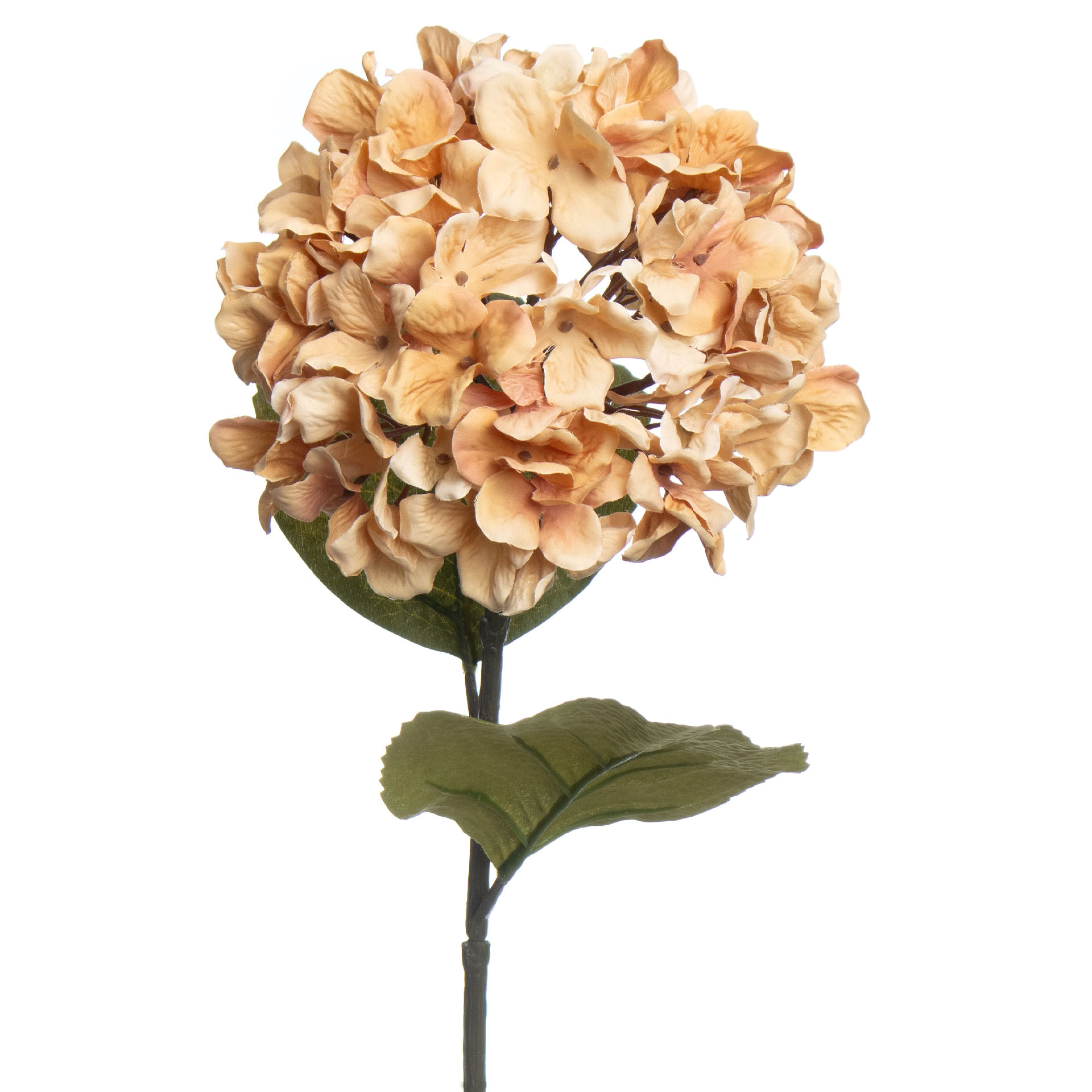 28&#x22; Beige Hydrangea Stem by Ashland&#xAE;