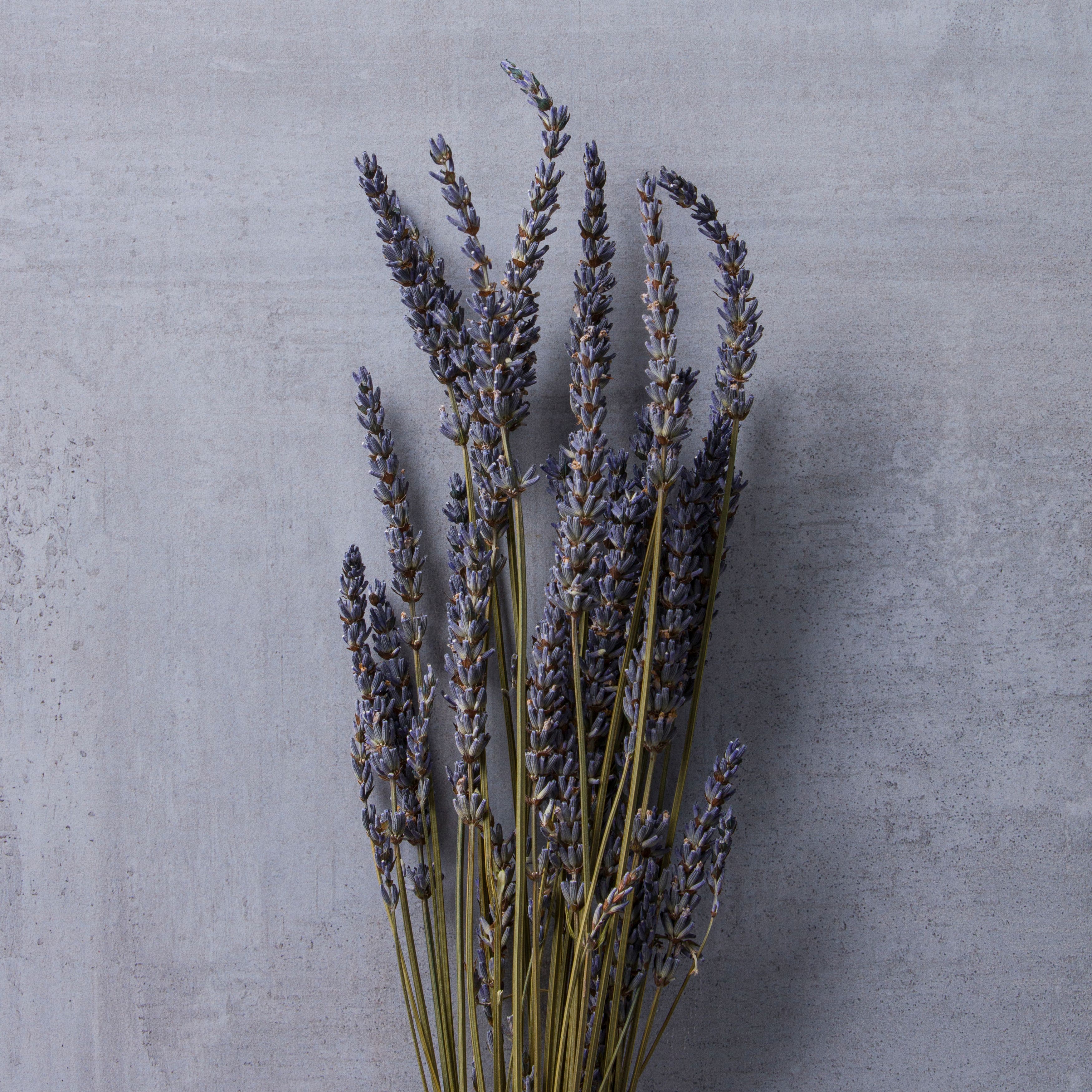 Lavender Grass Bundle by Ashland, Size: 18, Purple
