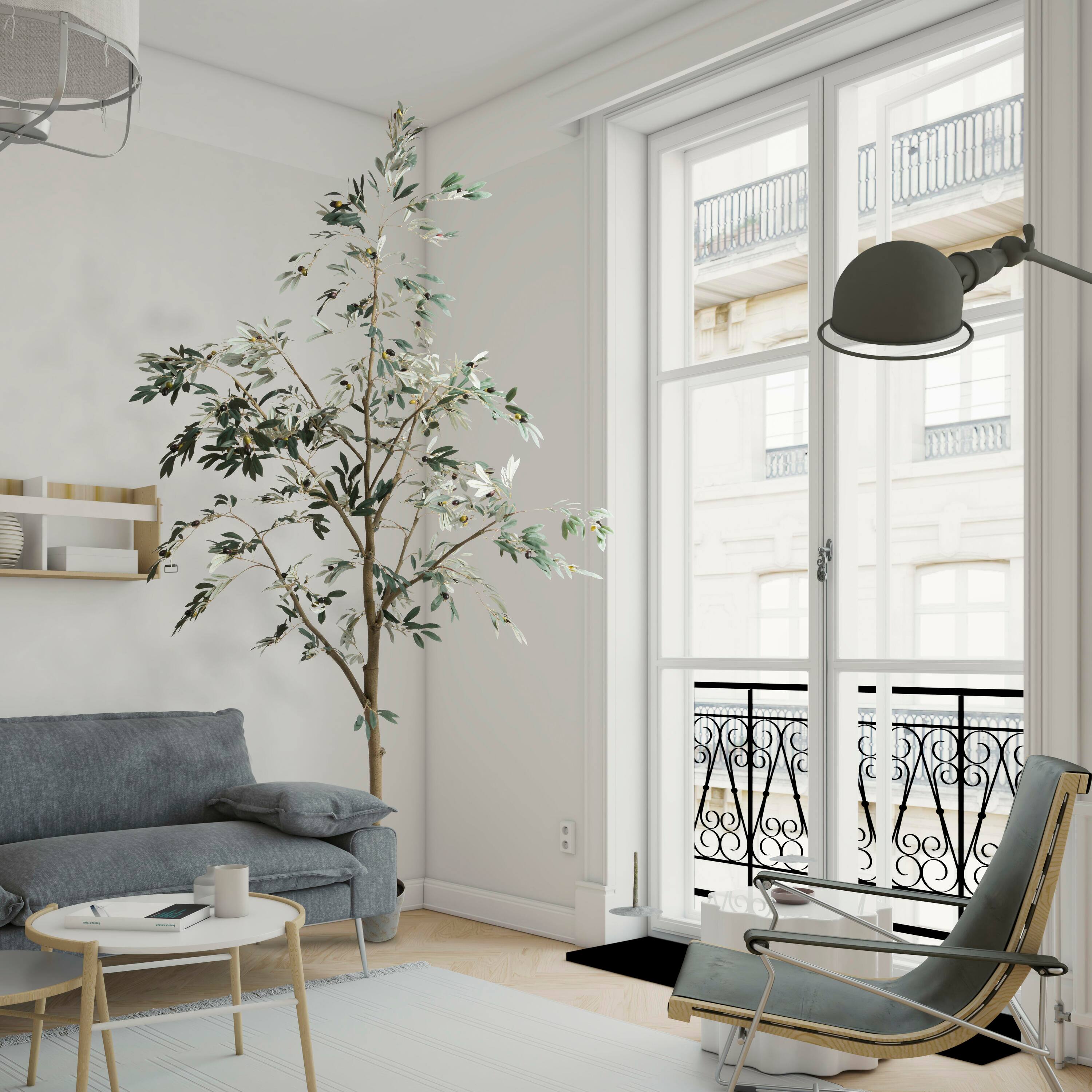 8ft. Potted Olive Tree