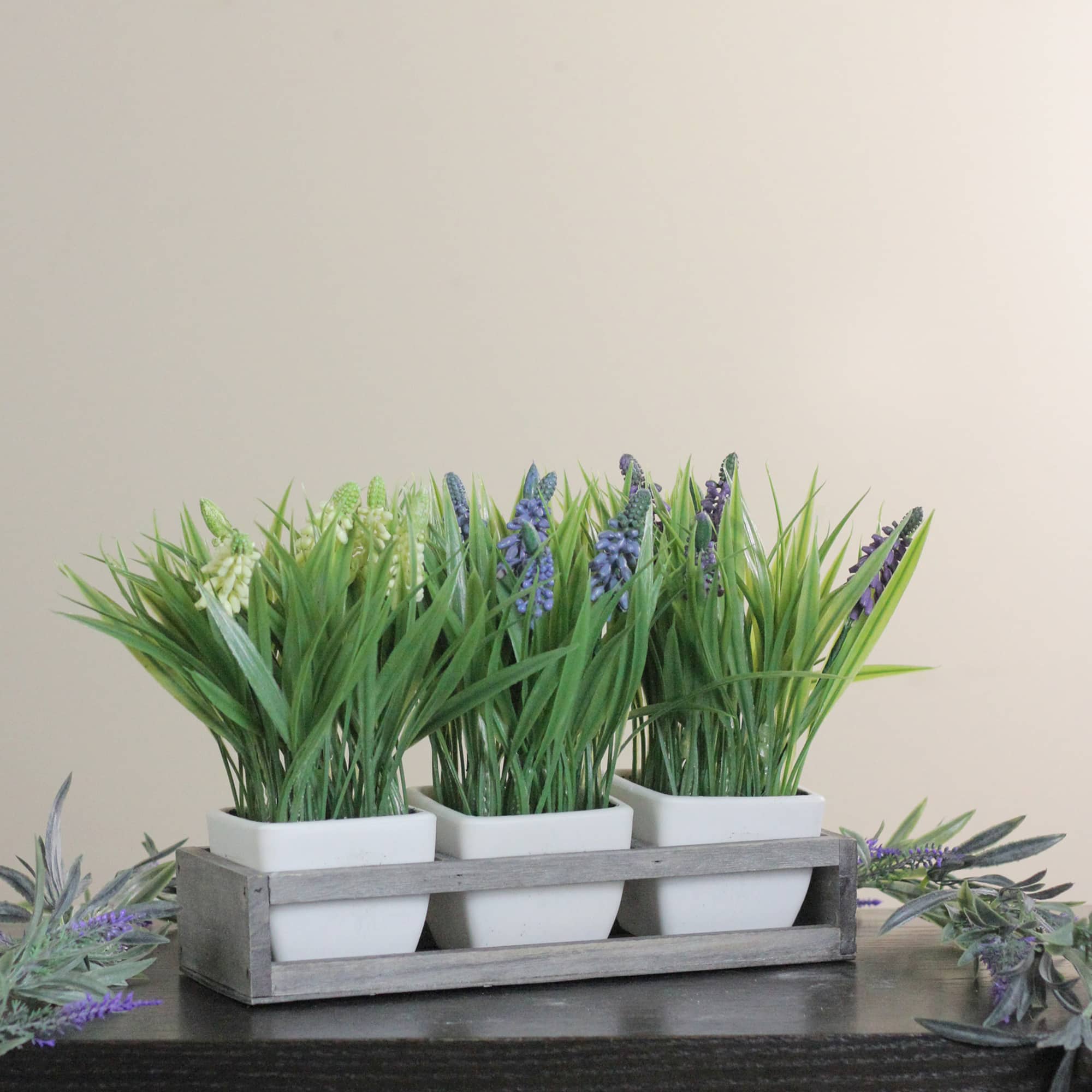 9.5" Lavender in White Pots with Wood Tray