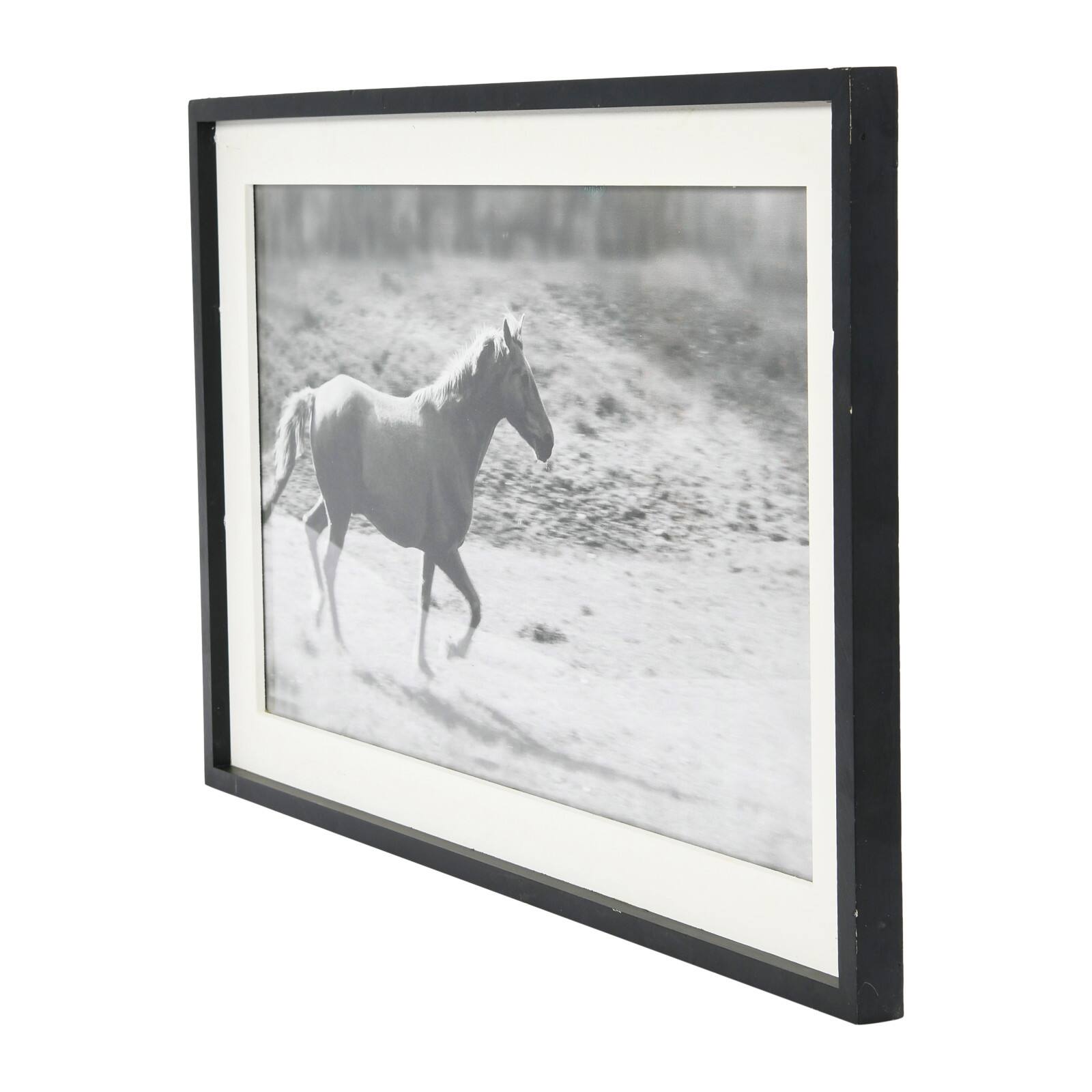 Hello Honey® Galloping Horse Print with Wood Frame