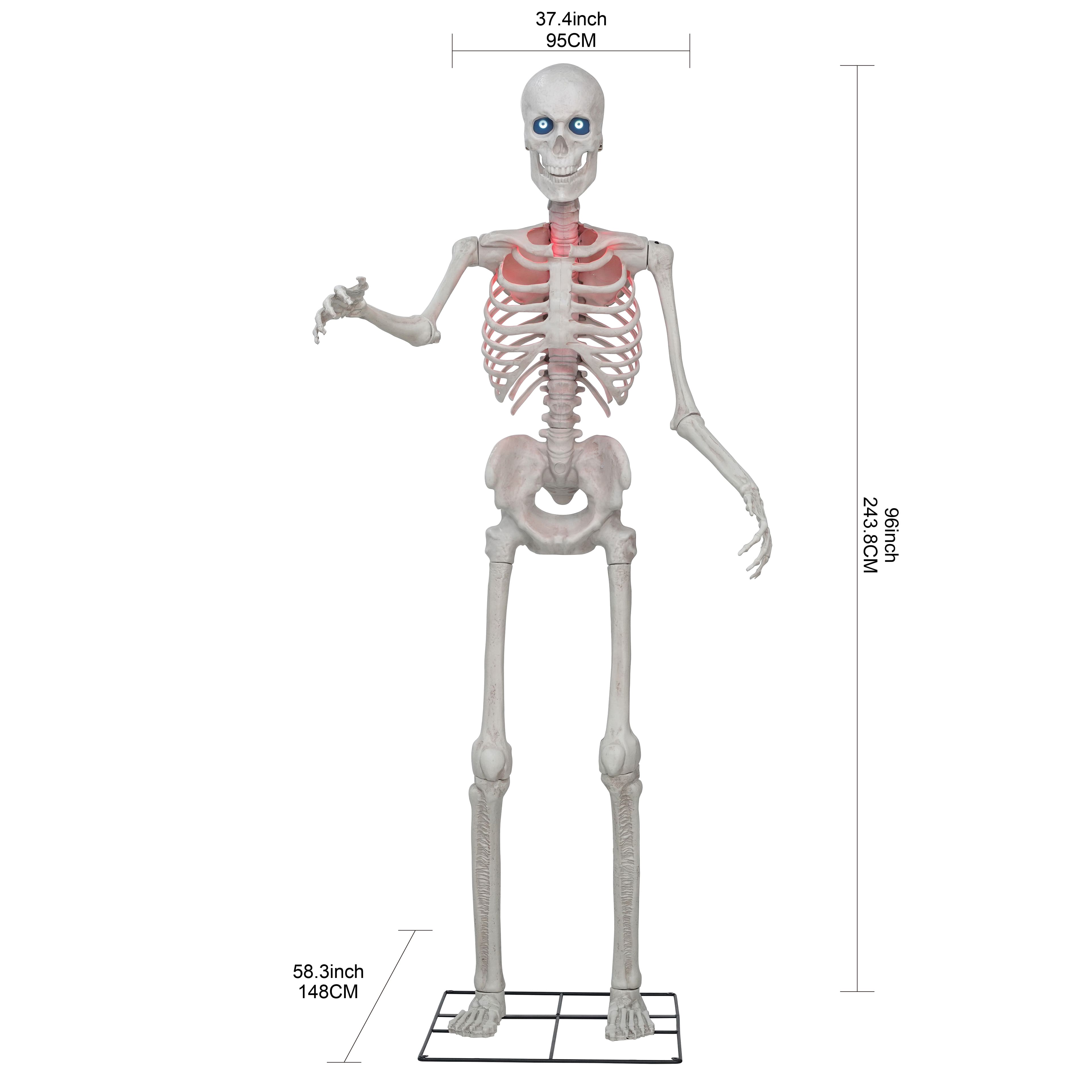 8ft. Skeleton by Ashland&#xAE;