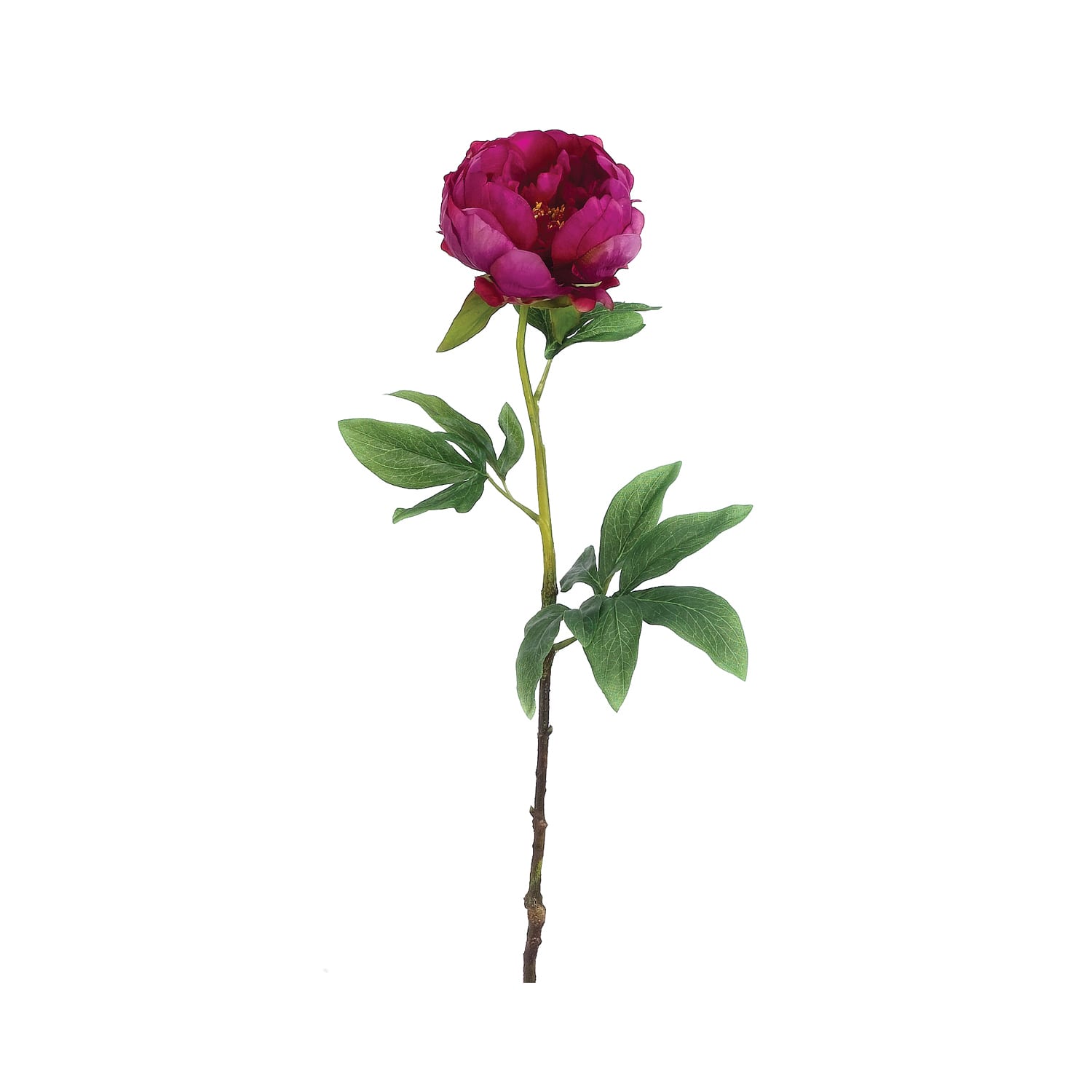 24 Pack: Magenta Peony Stem
