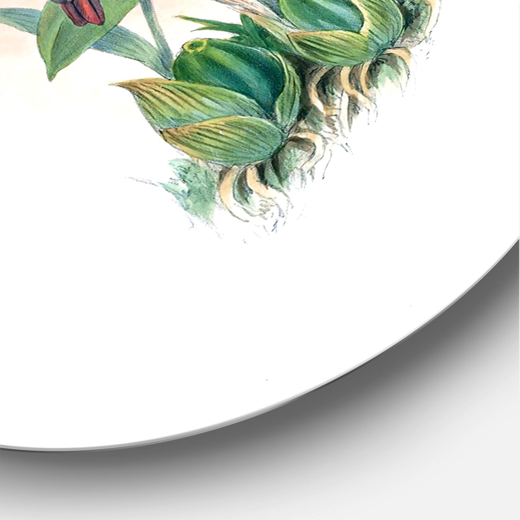 Designart - Vintage Hummingbird Flying To A Flower - Traditional Metal Circle Wall Art