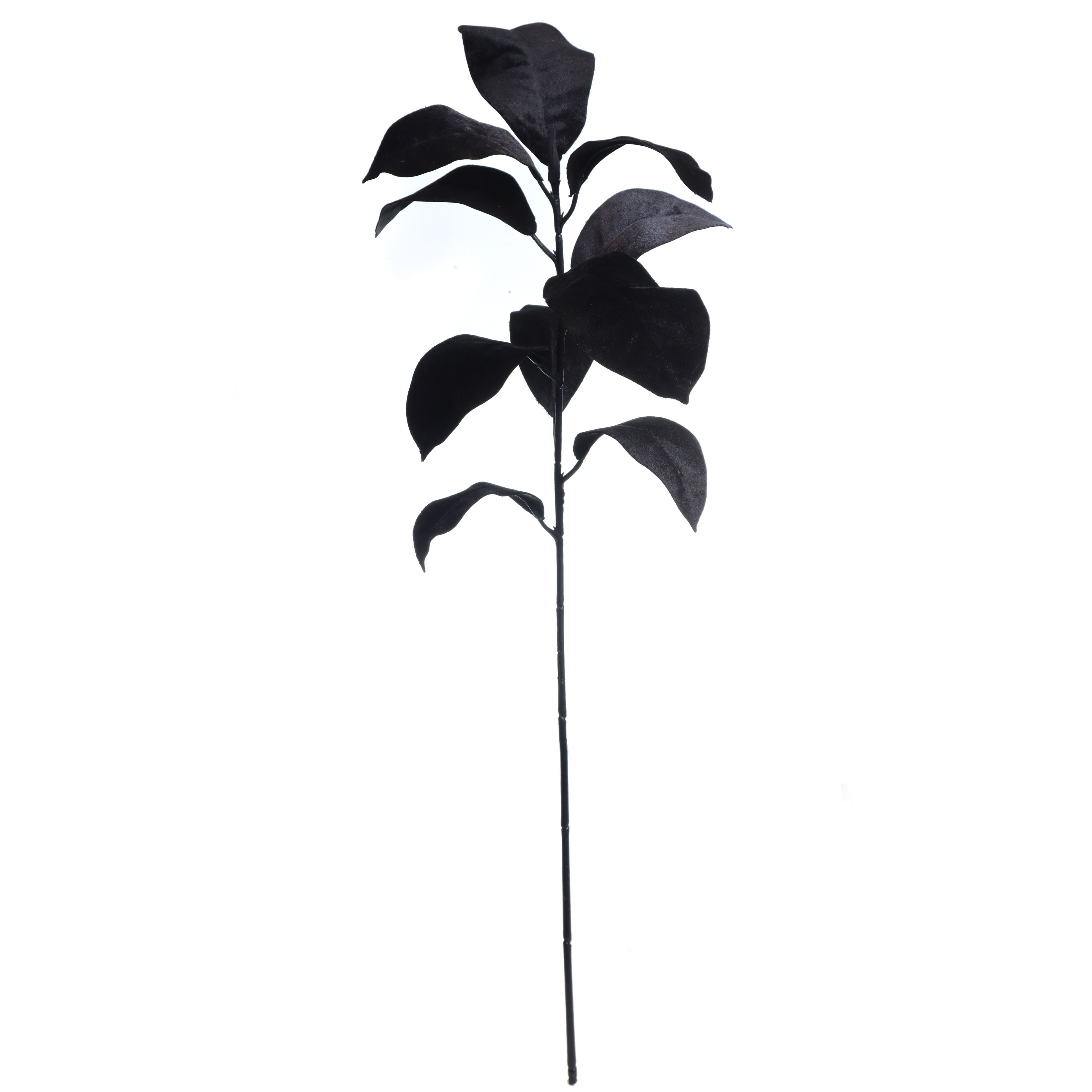 31.5&#x22; Black Magnolia Leaves Stem by Ashland&#xAE;