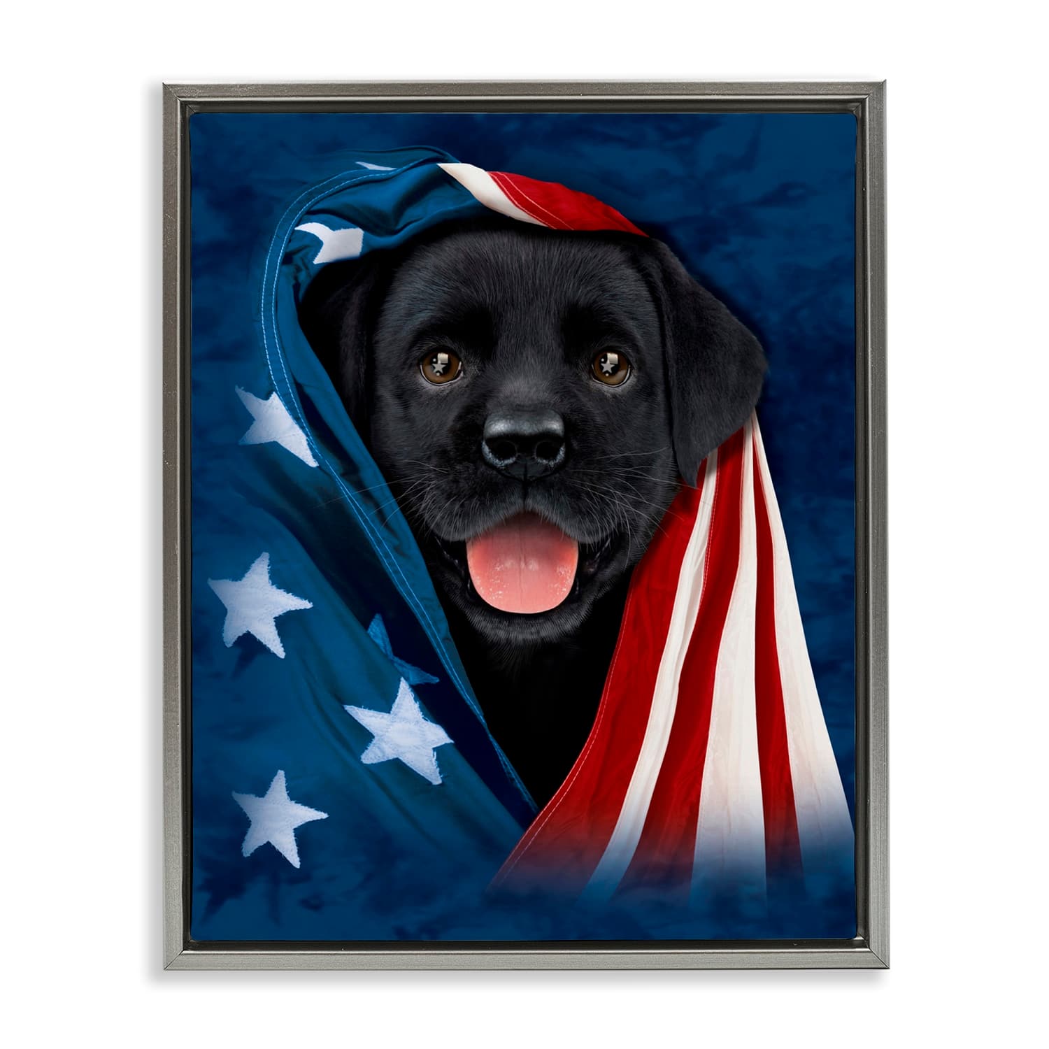 Stupell Industries Labrador & American Flag Floater Framed Art