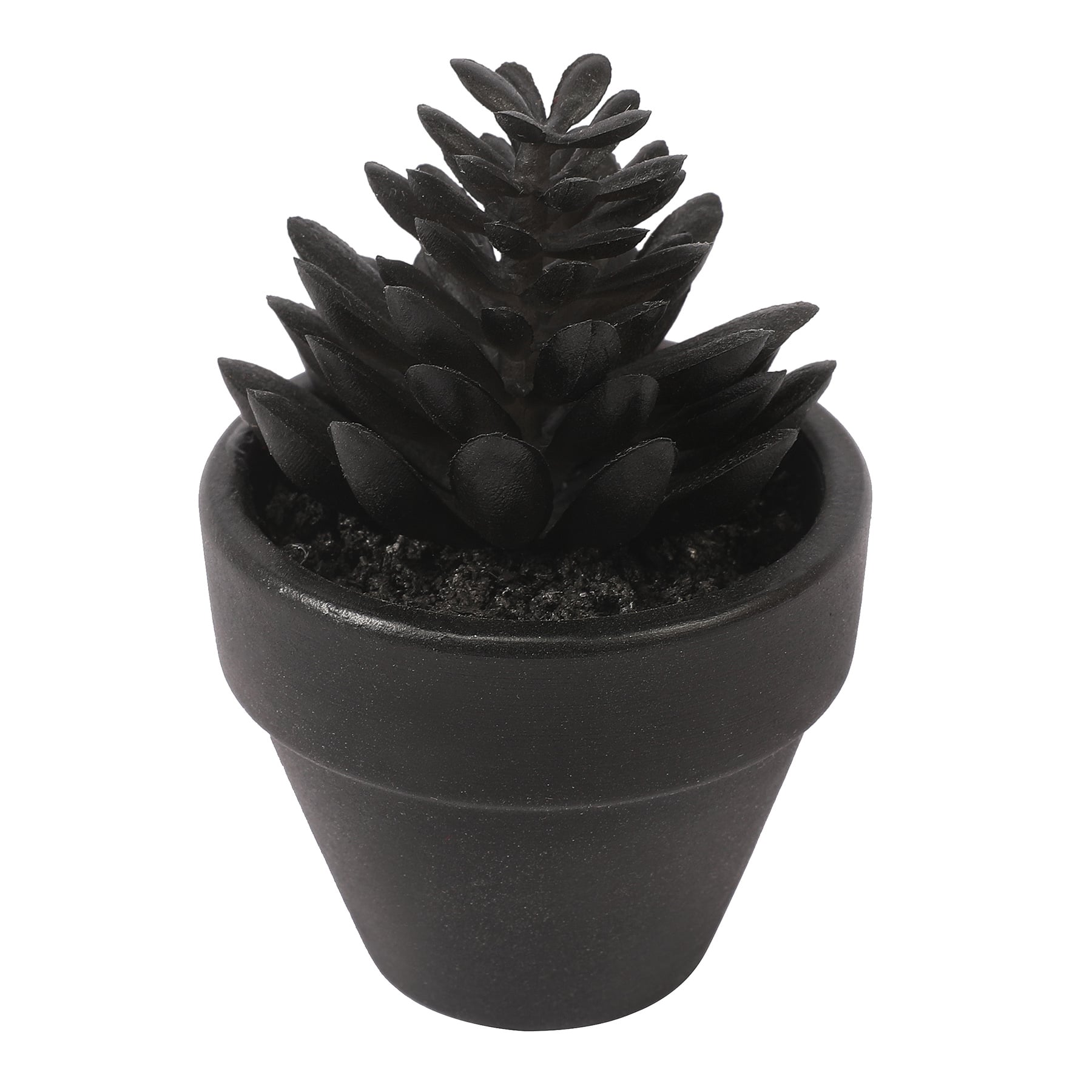 Assorted Mini Potted Succulent by Ashland&#xAE;, 1pc.