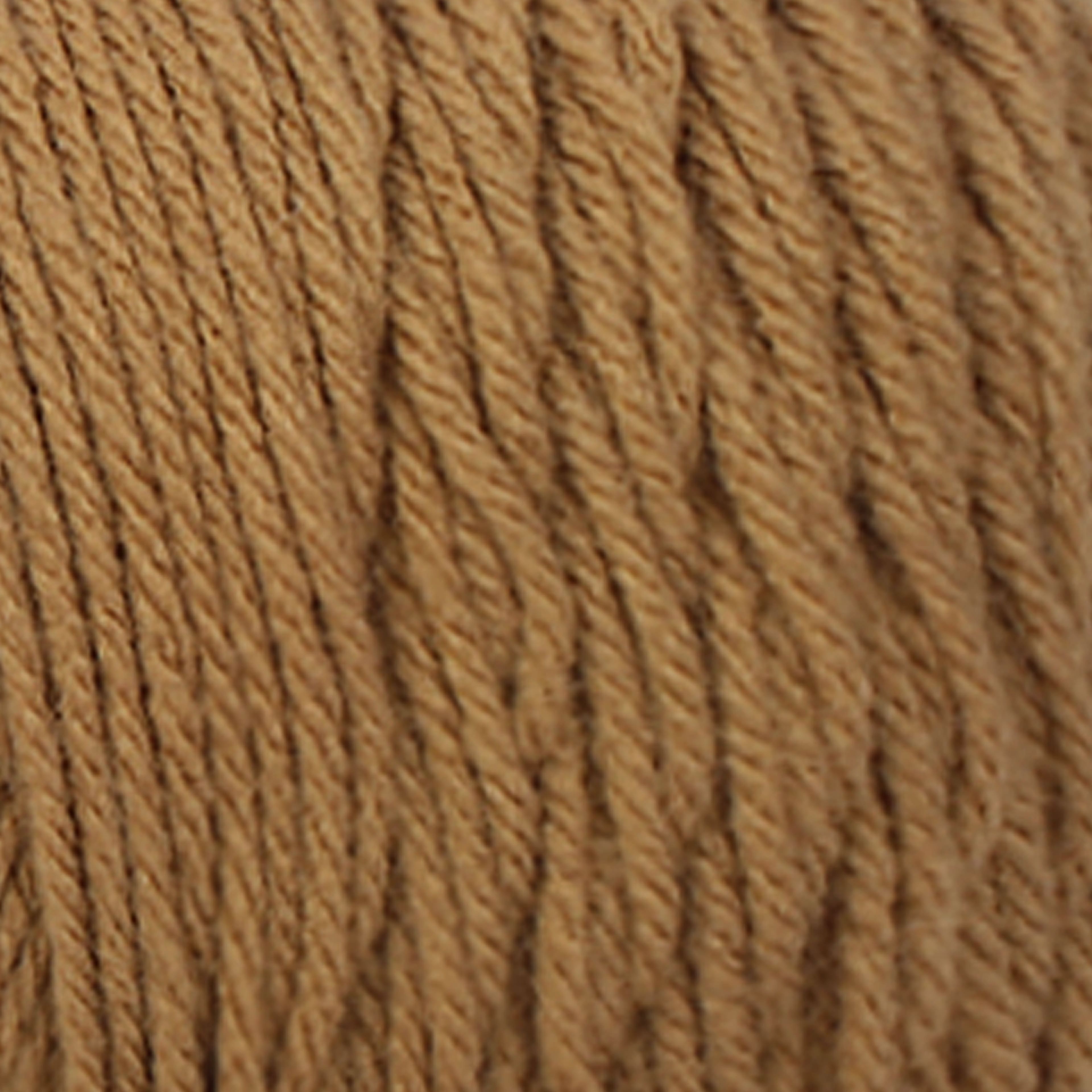Big Twist&#xAE; Value Yarn