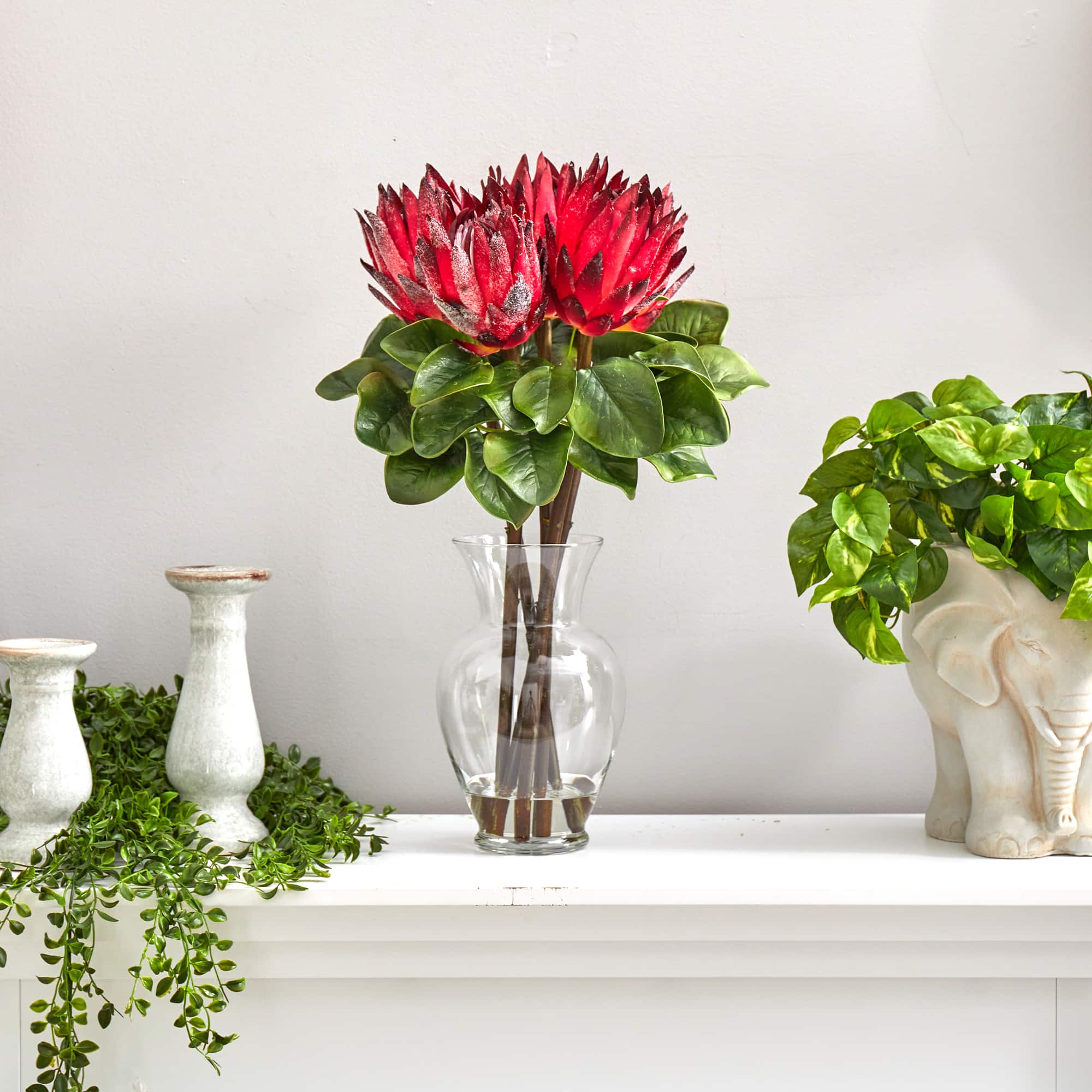 23" Red King Protea Arrangement in Glass Vase