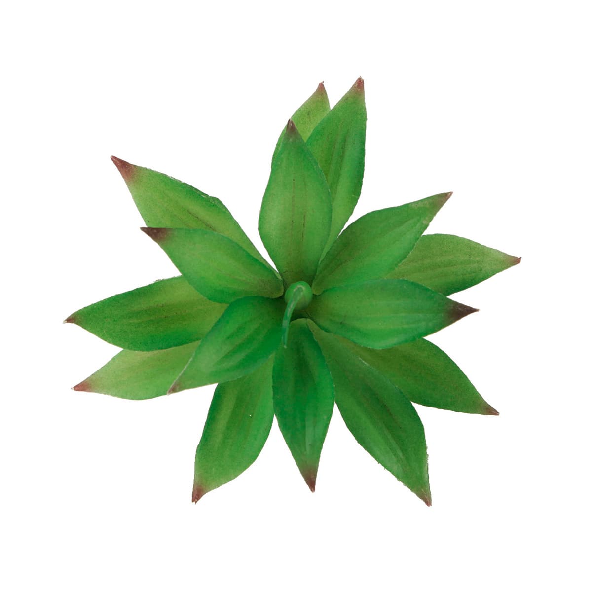 Flora Bunda&#xAE; Aloe Blizzard Succulent Pick, 6ct.