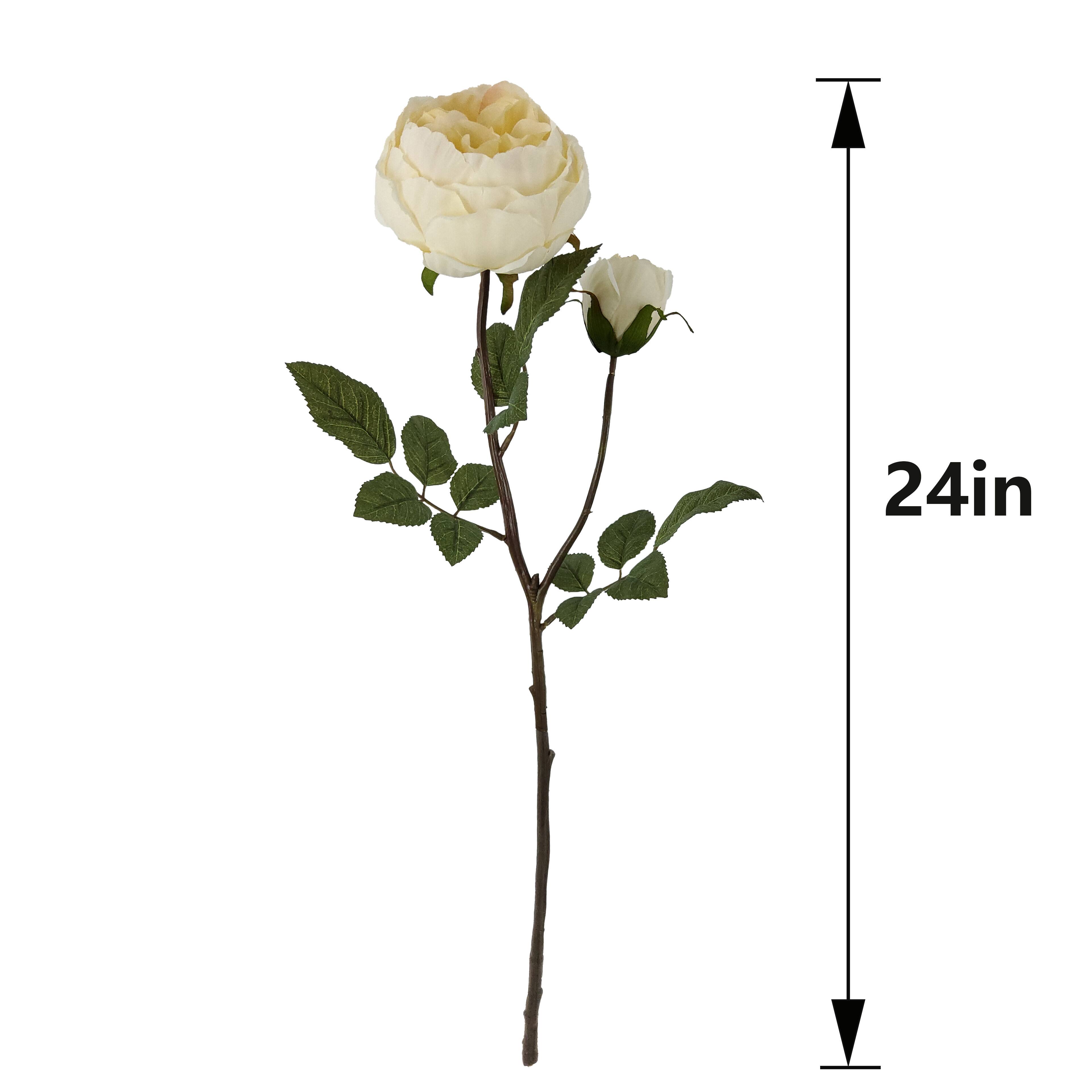 24&#x22; Cream Cabbage Rose Stem by Ashland&#xAE;
