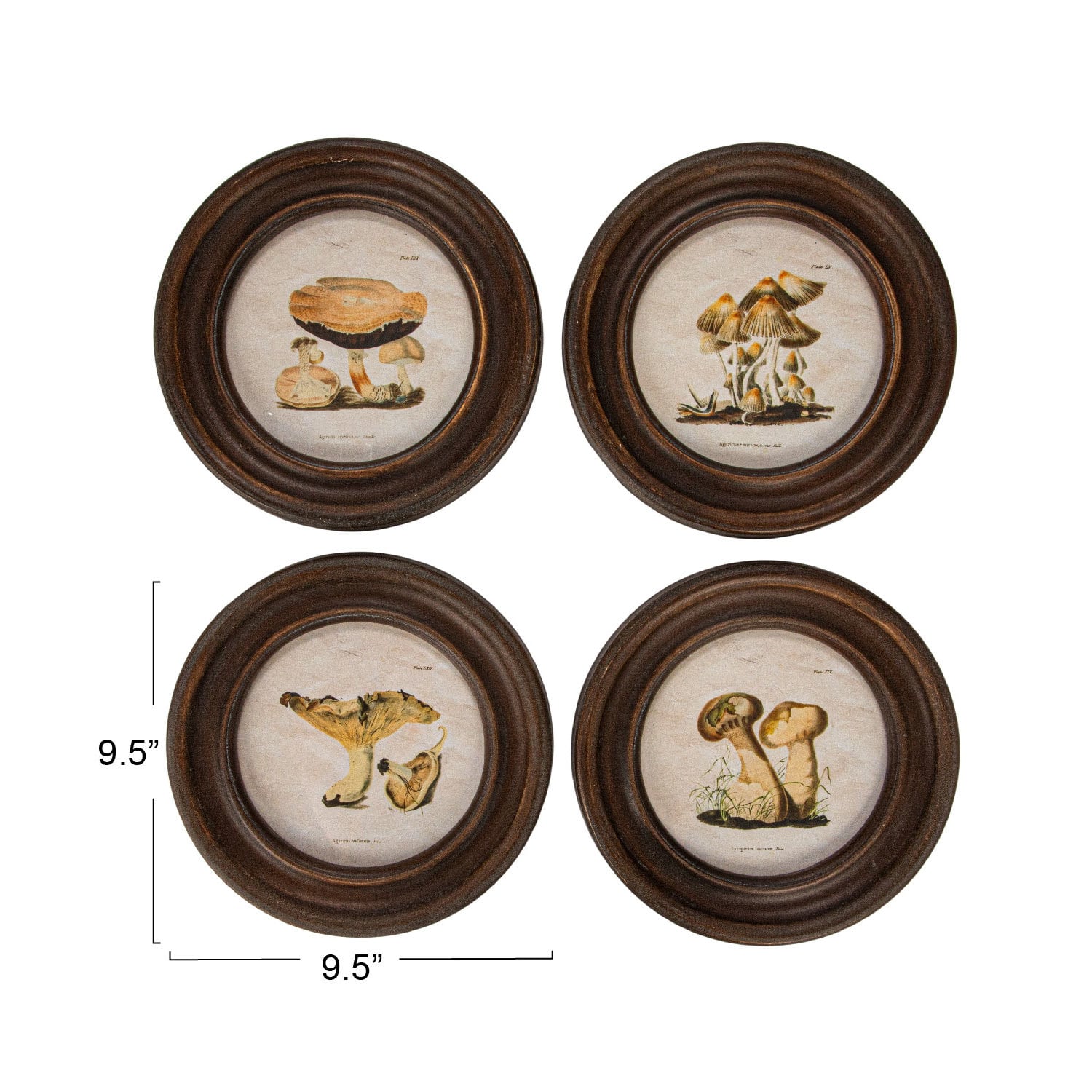 Hello Honey&#xAE; 9.5&#x22; Round Framed Mushroom Print Wall Art Set
