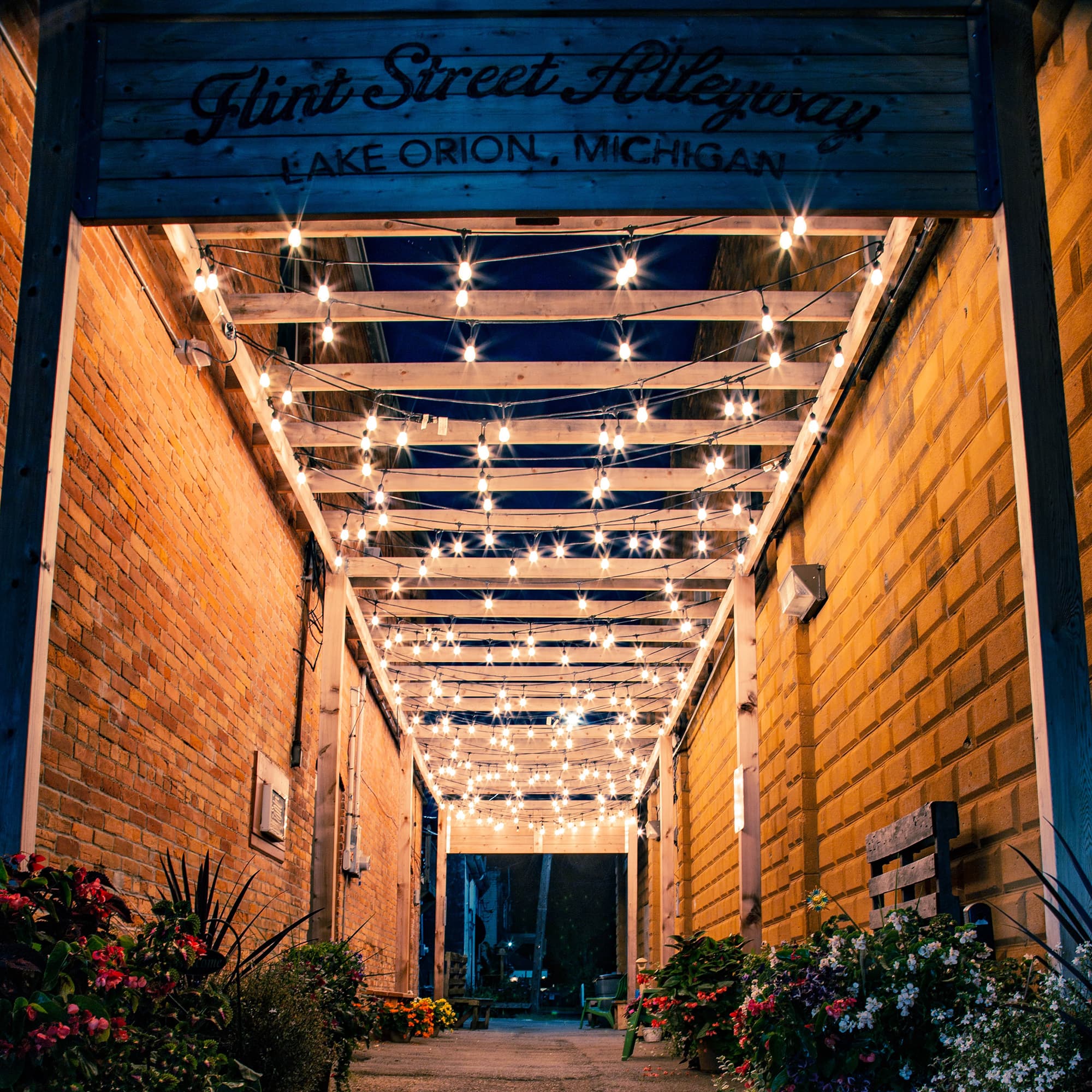 10ct. Clear Edison Glass Patio String Lights with Green Wire