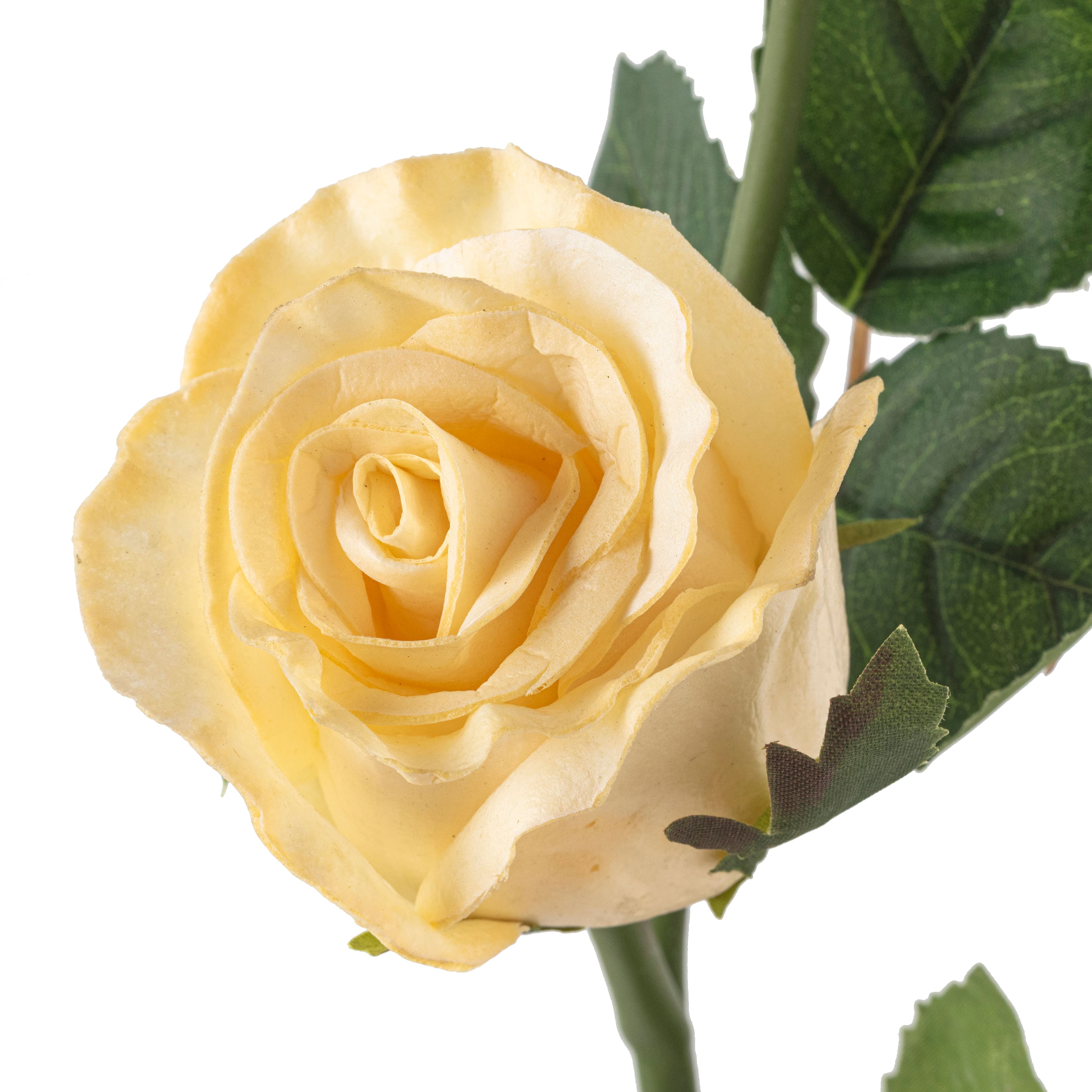 White Faux Real Rose Stem by Ashland&#xAE;