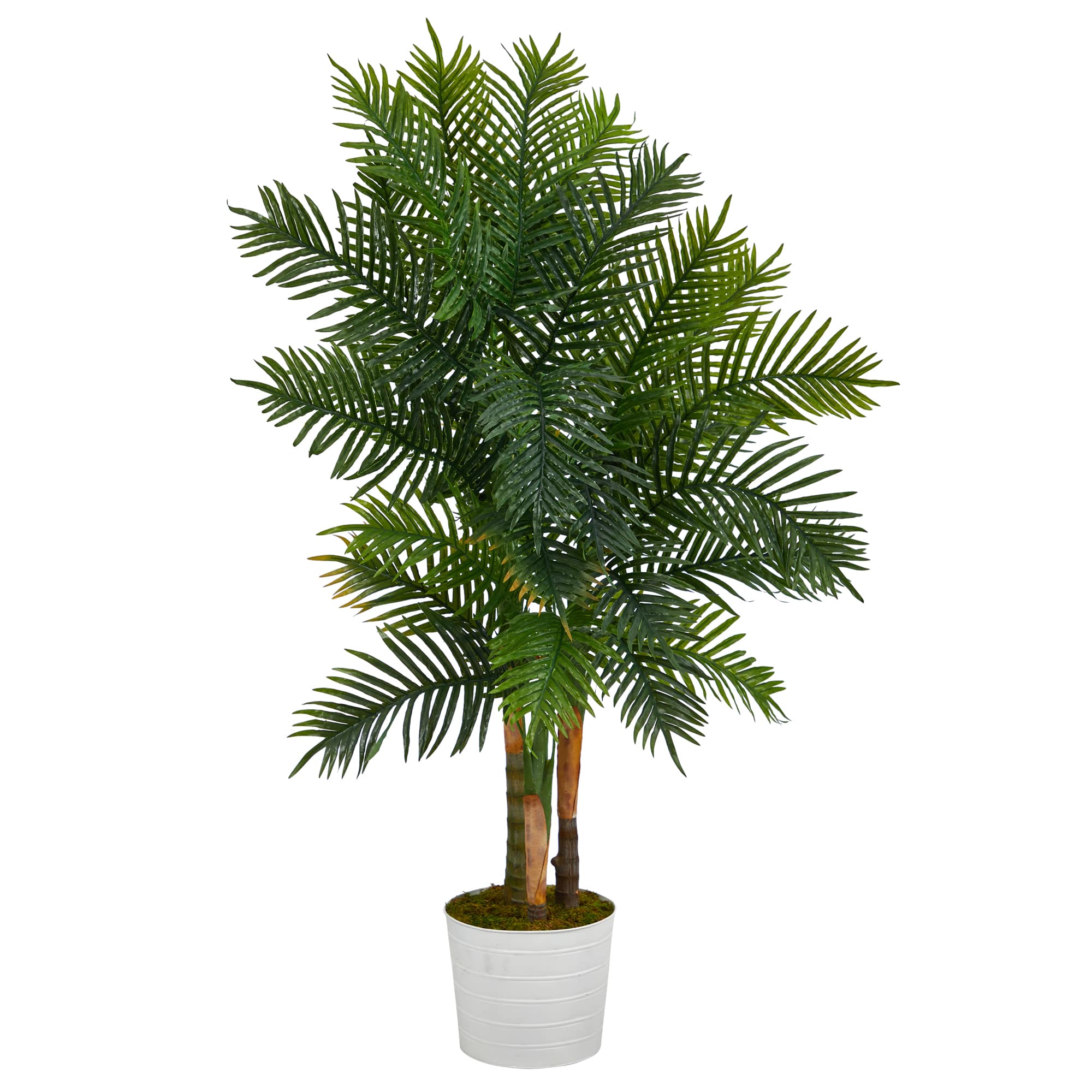 5ft. Areca Palm Tree in White Tin Planter