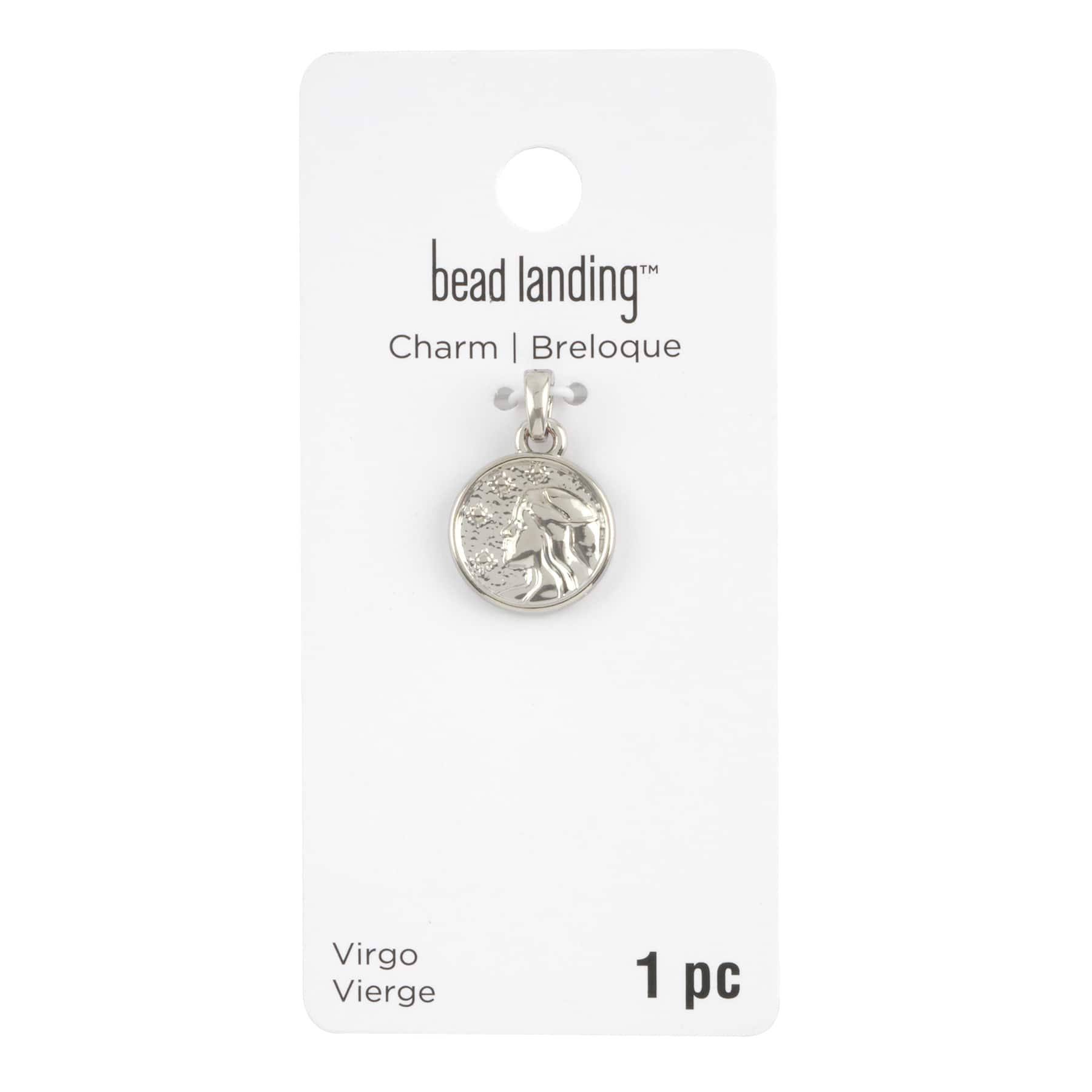 12 Pack: Metal Zodiac Coin Charm by Bead Landing™