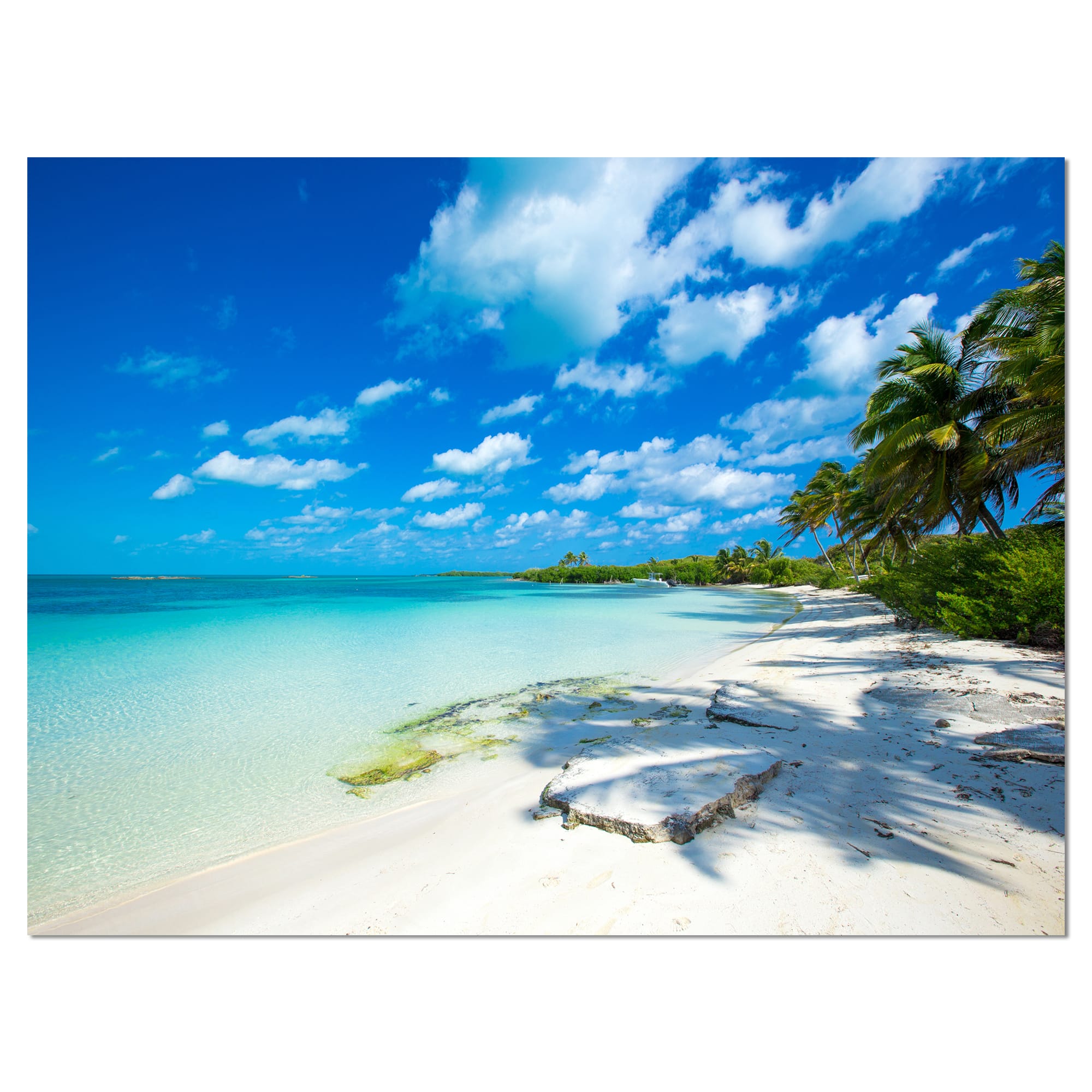 Designart - Tropical Beach with Palm Shadows - Large Seashore Canvas Print