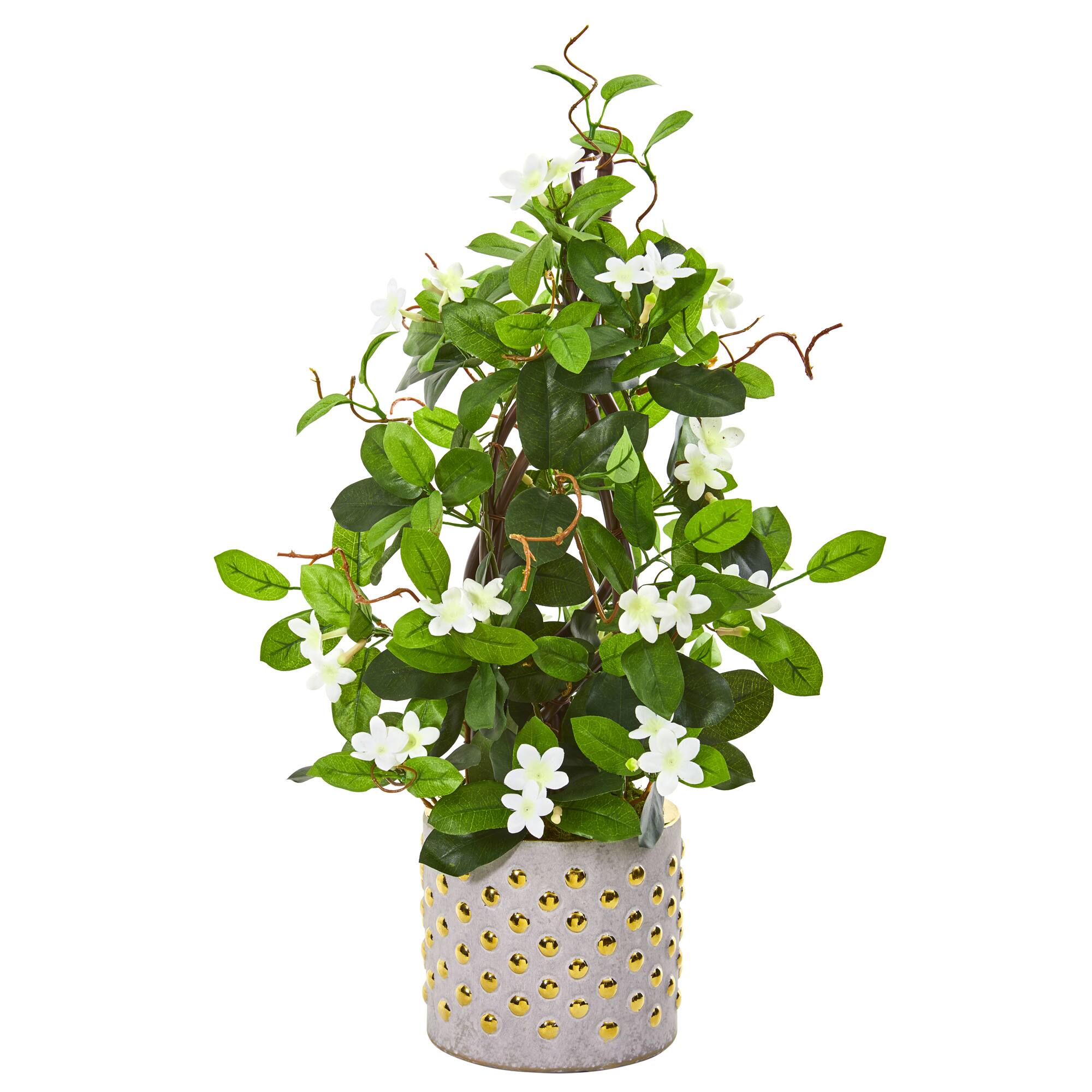 2ft. White Stephanotis Climbing Plant in Designer Planter Michaels