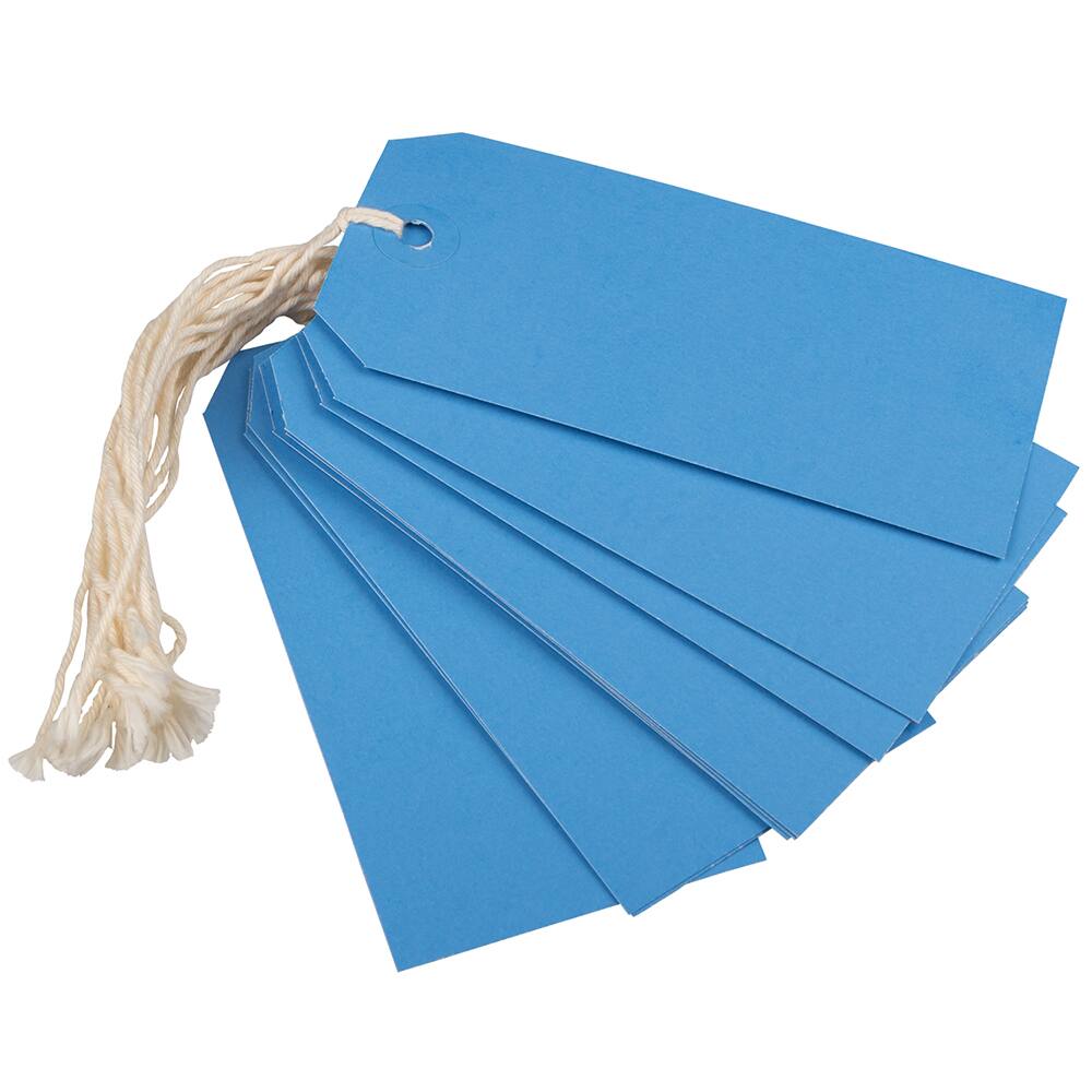 JAM Paper Medium Gift Tags with String