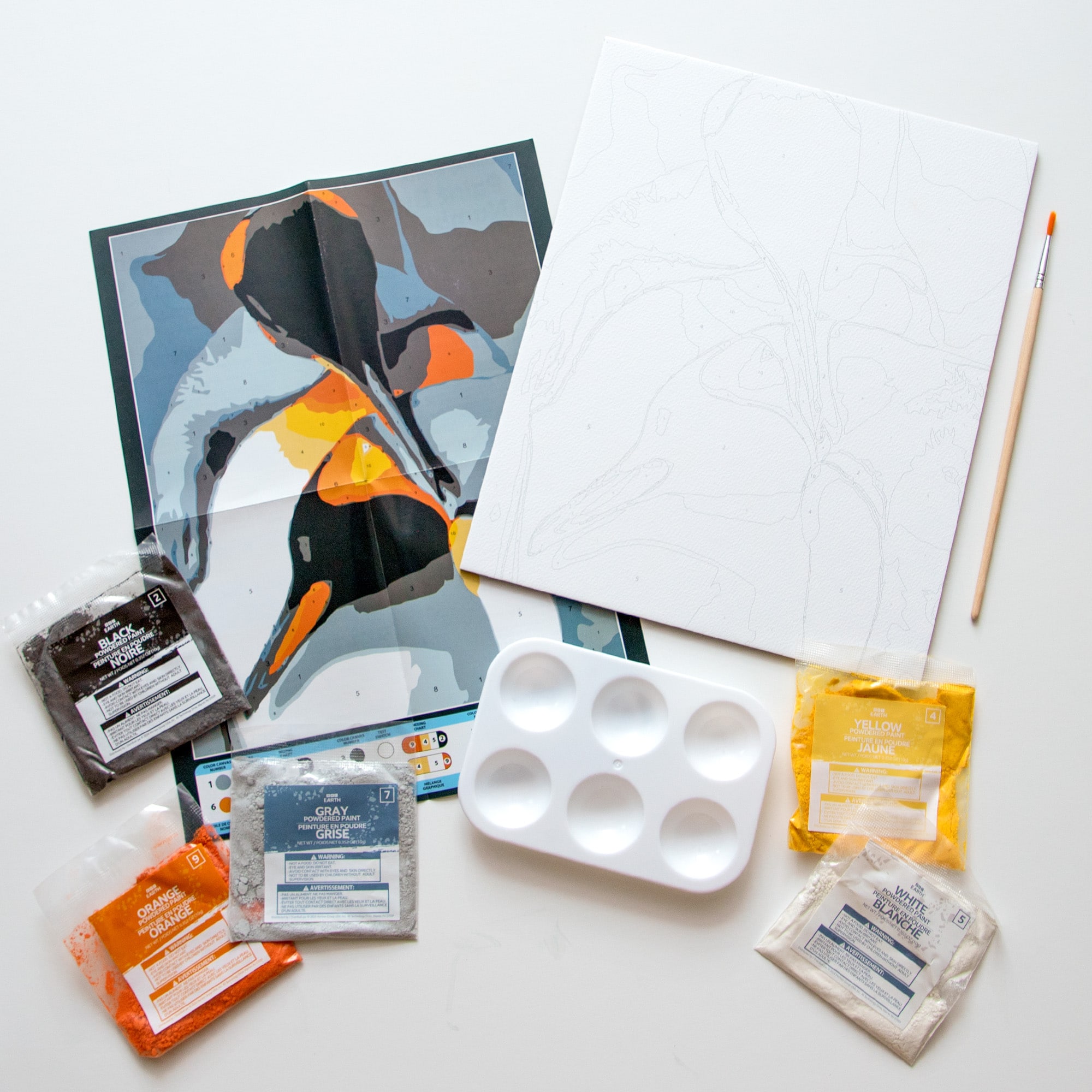 BBC Earth Canvas Board Penguin Paint by Number
