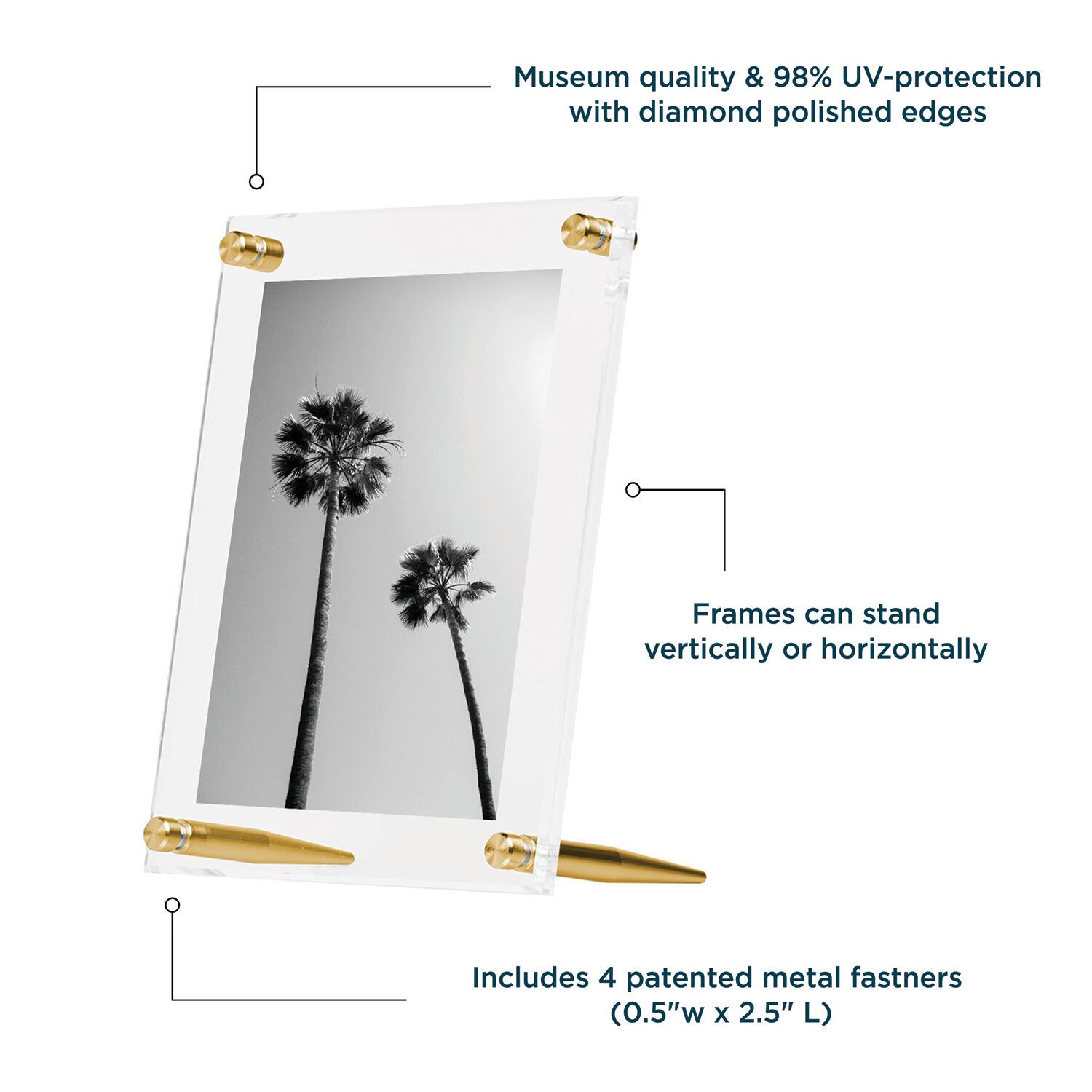 Wexel Art Clear Acrylic Tabletop Floating Picture Frame with Gold Hardware