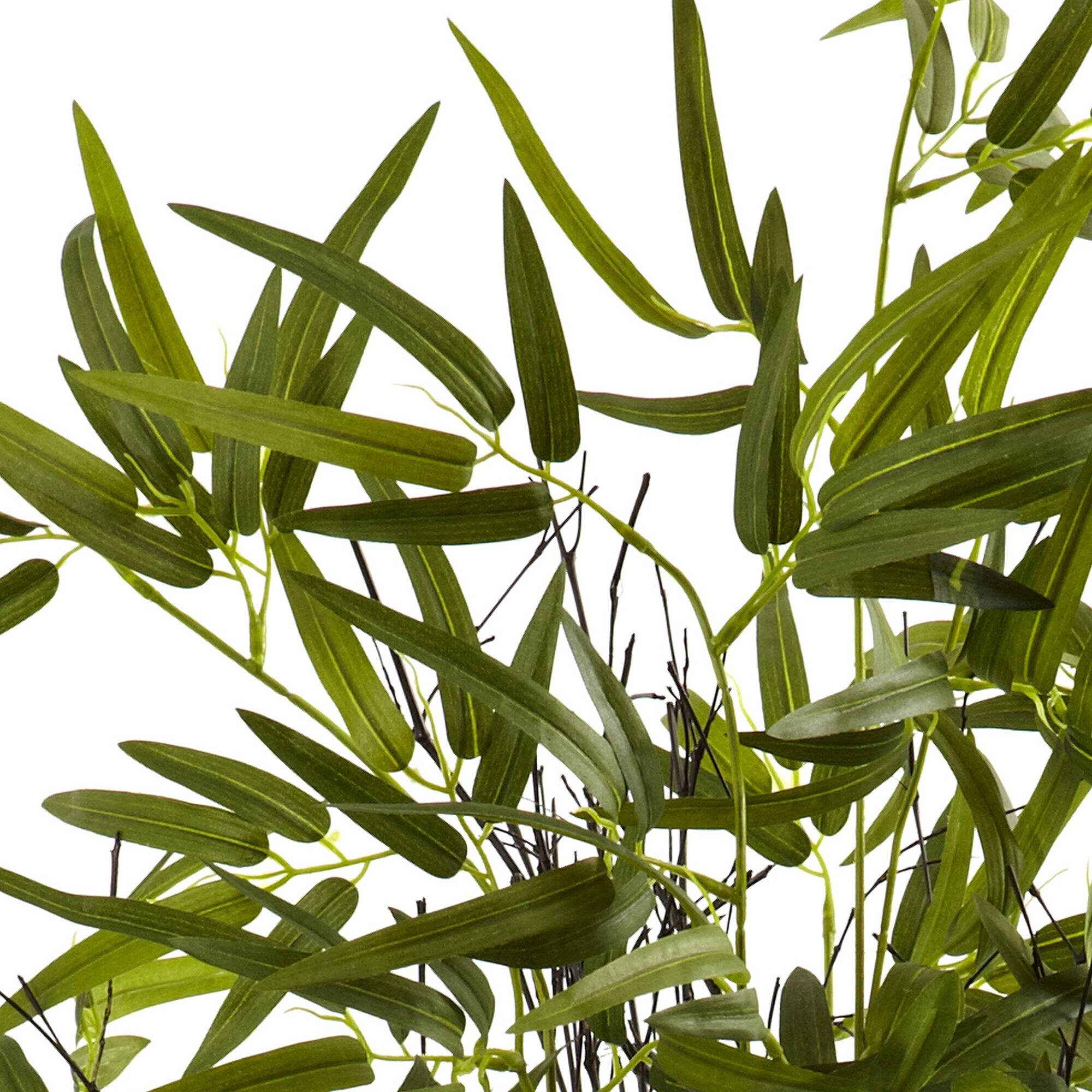 4ft. Potted Black Bamboo Tree