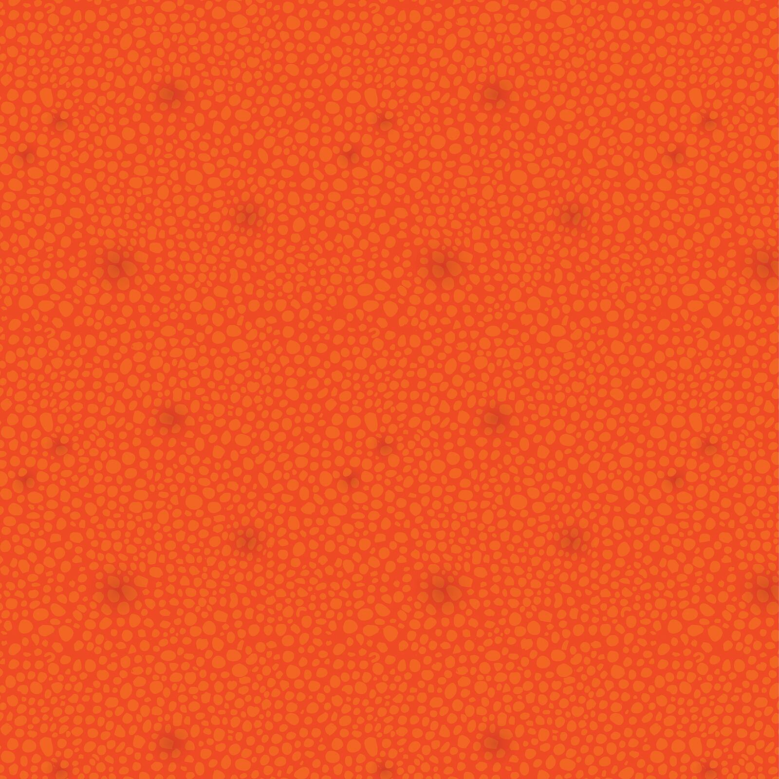 Cricut® Disney® Finding Dory Deluxe Paper, 12" x 12"