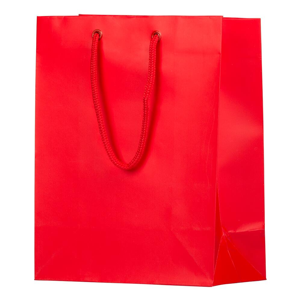 JAM Paper Medium Gift Bags with Rope Handles, 100ct.