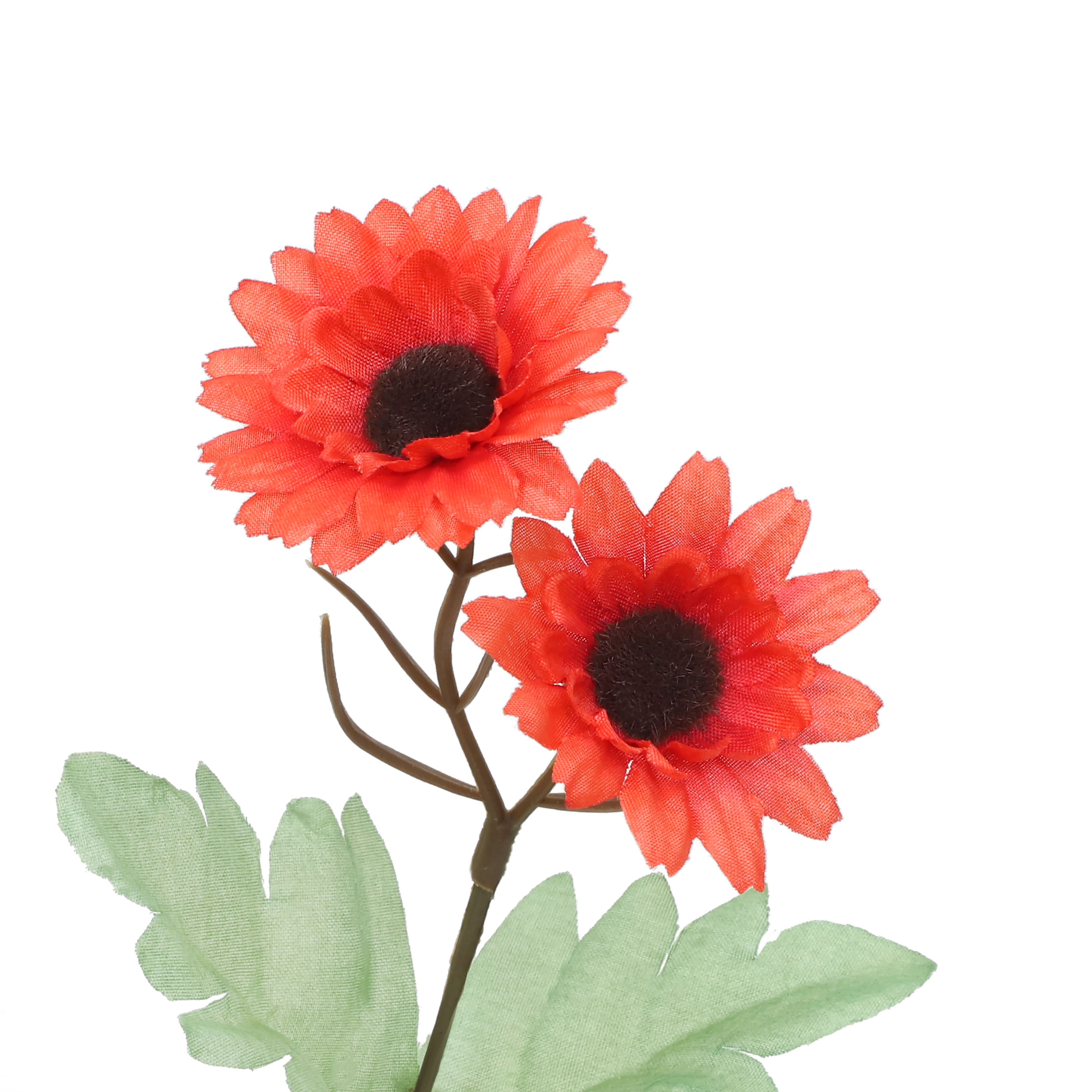 13.5&#x22; Daisy Bush by Ashland&#xAE;