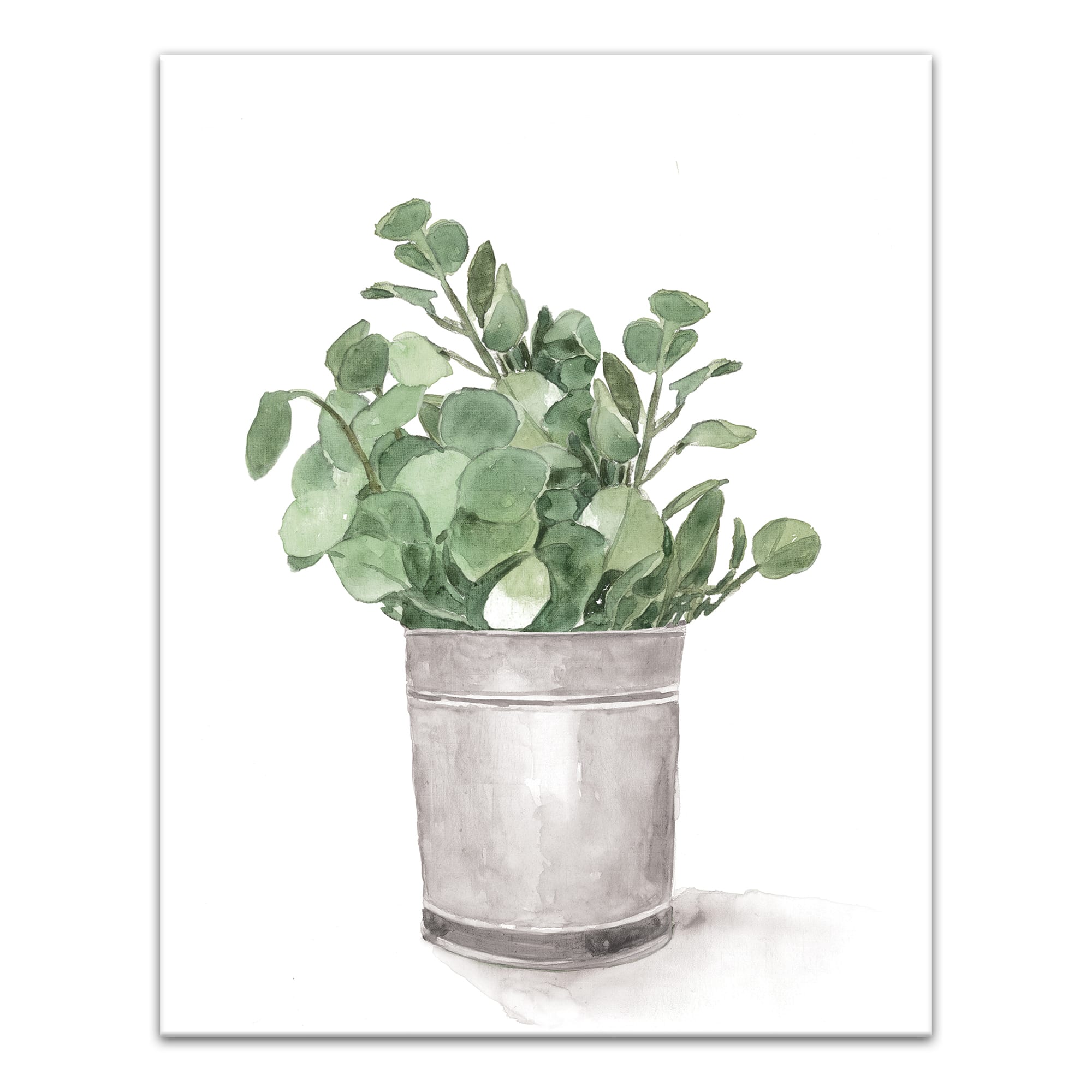 Bucket of Eucalyptus 11&#x22; x 14&#x22; Canvas Wall Art