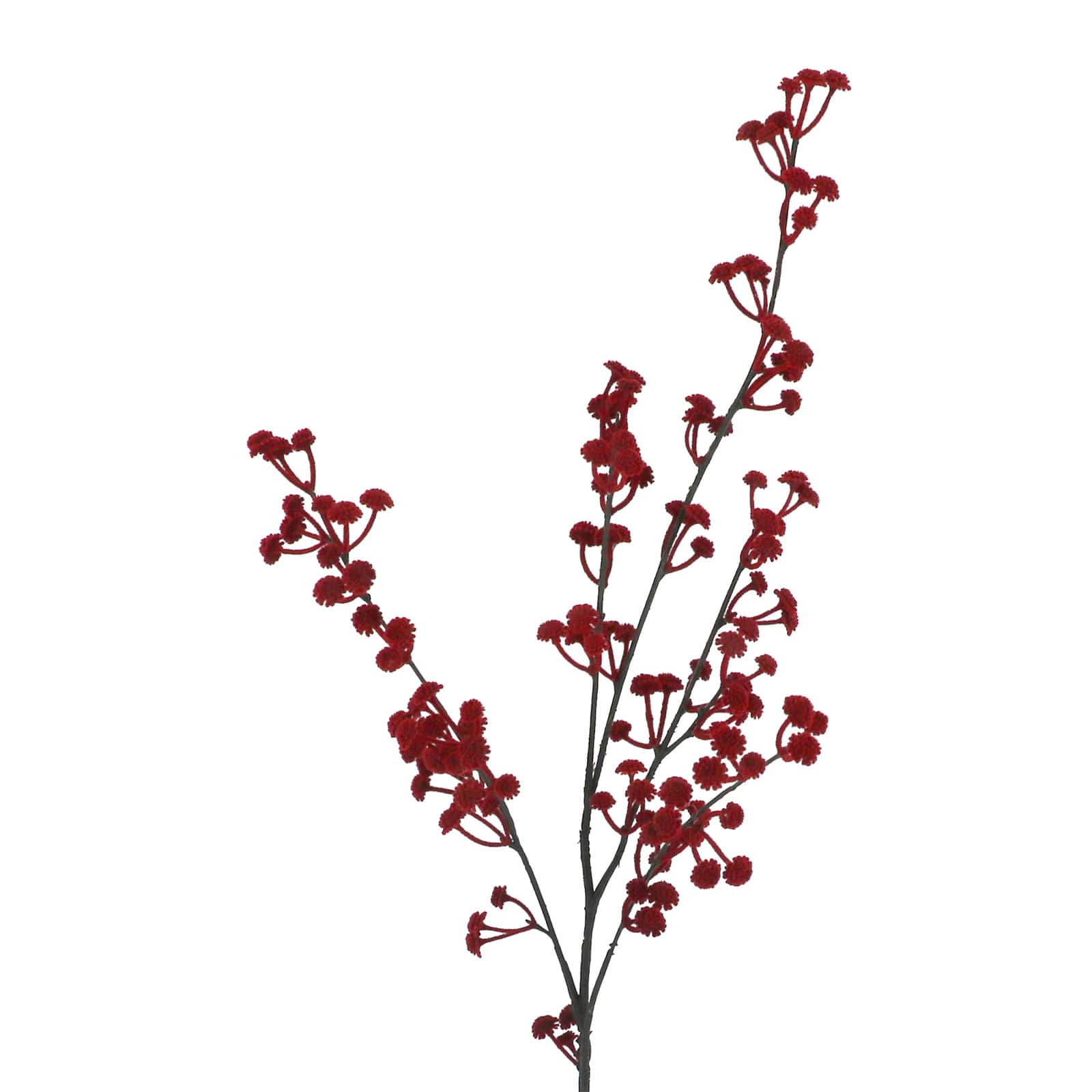 29&#x22; Red Baby&#x27;s Breath Stem by Ashland&#xAE;