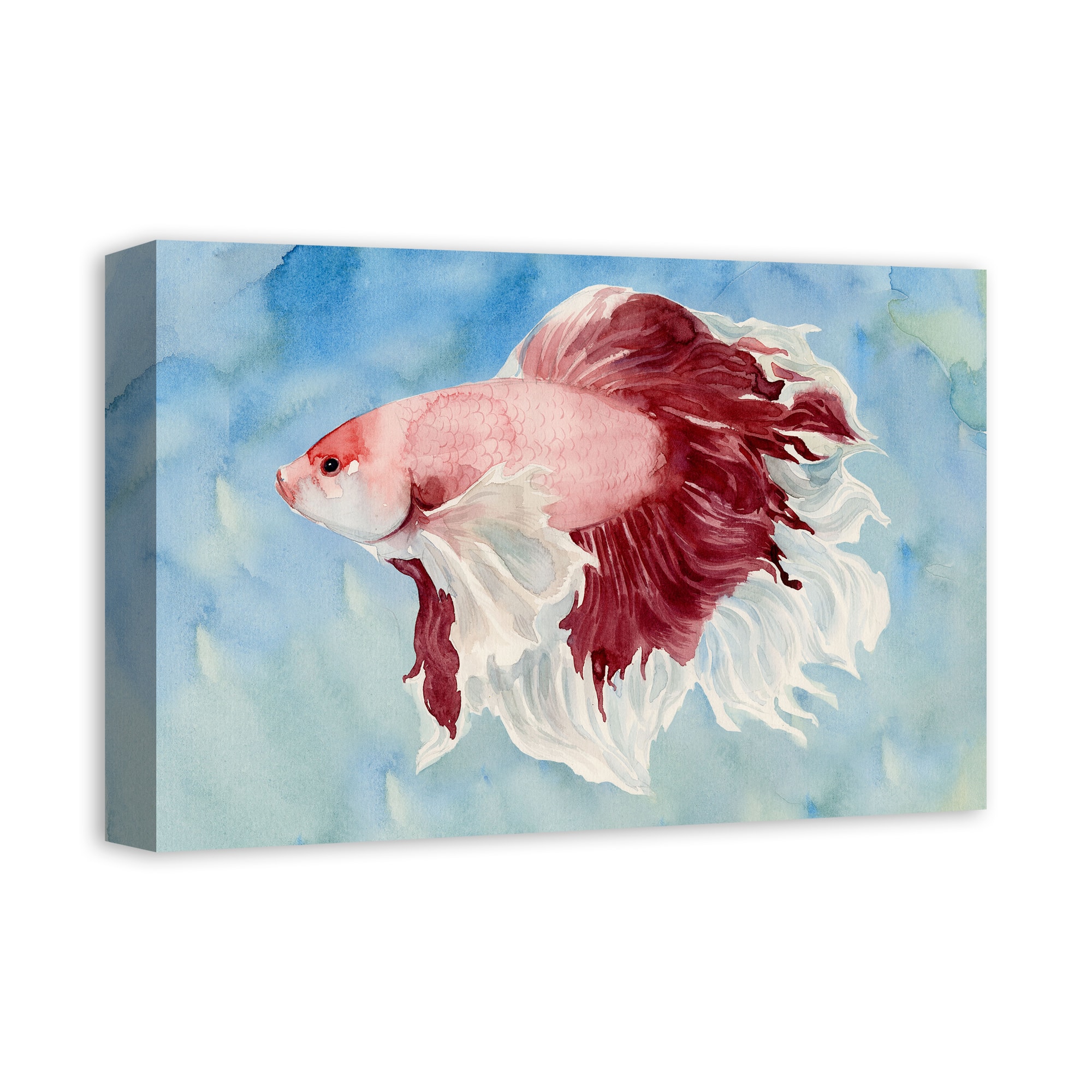Red Fish 18&#x22; x 12&#x27; Canvas Wall Art