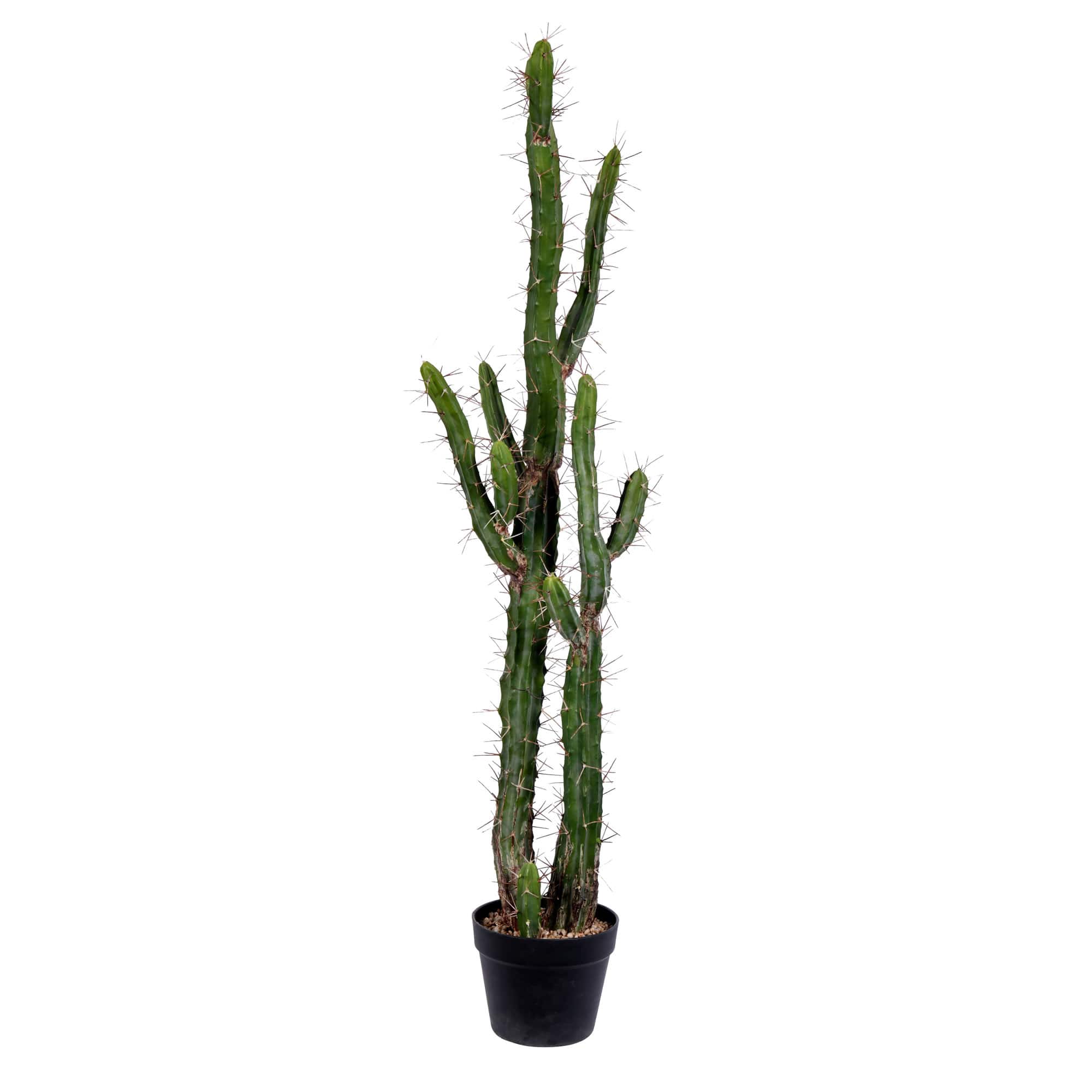 4ft. Potted Green Cactus