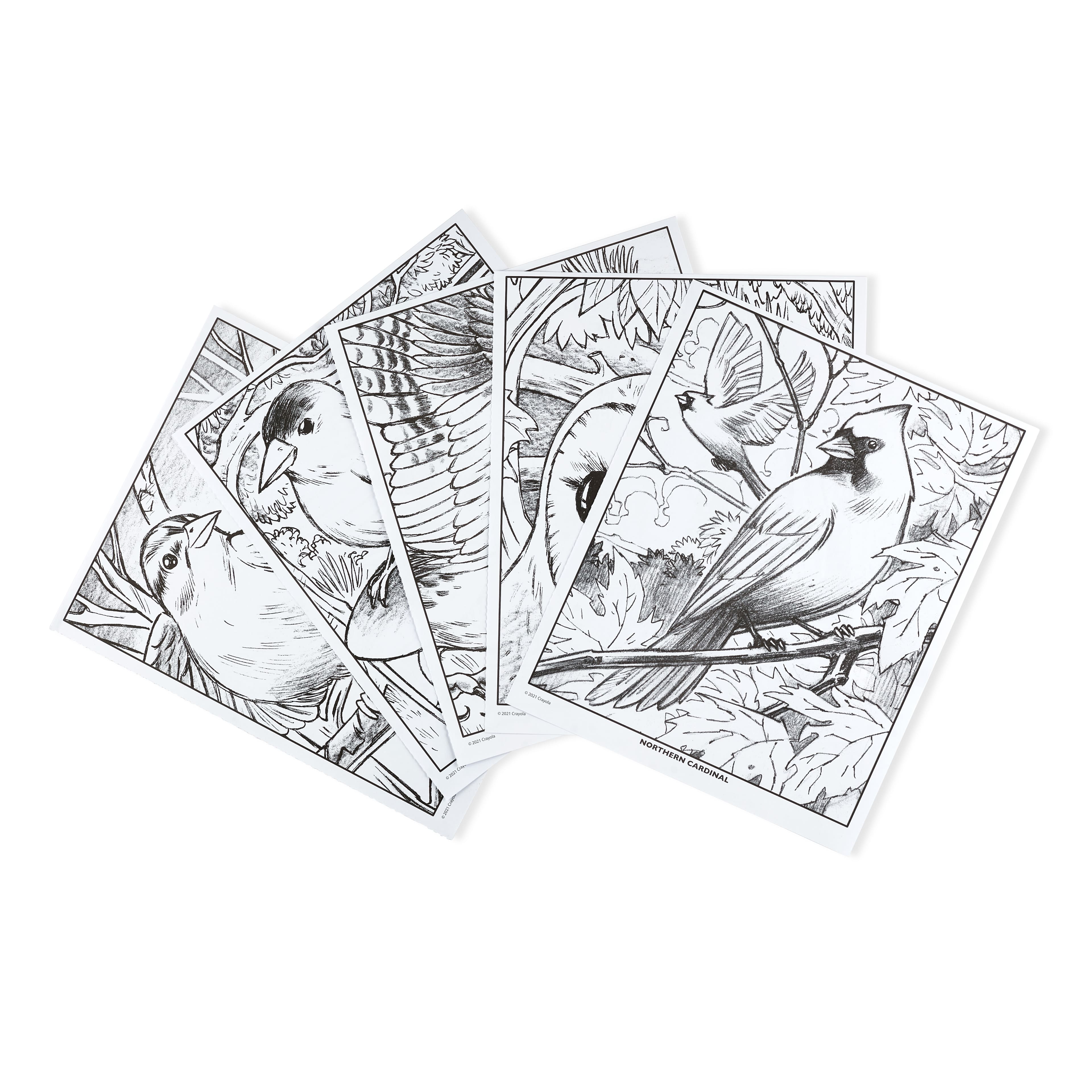 Crayola&#xAE; Bird Watching Coloring Book
