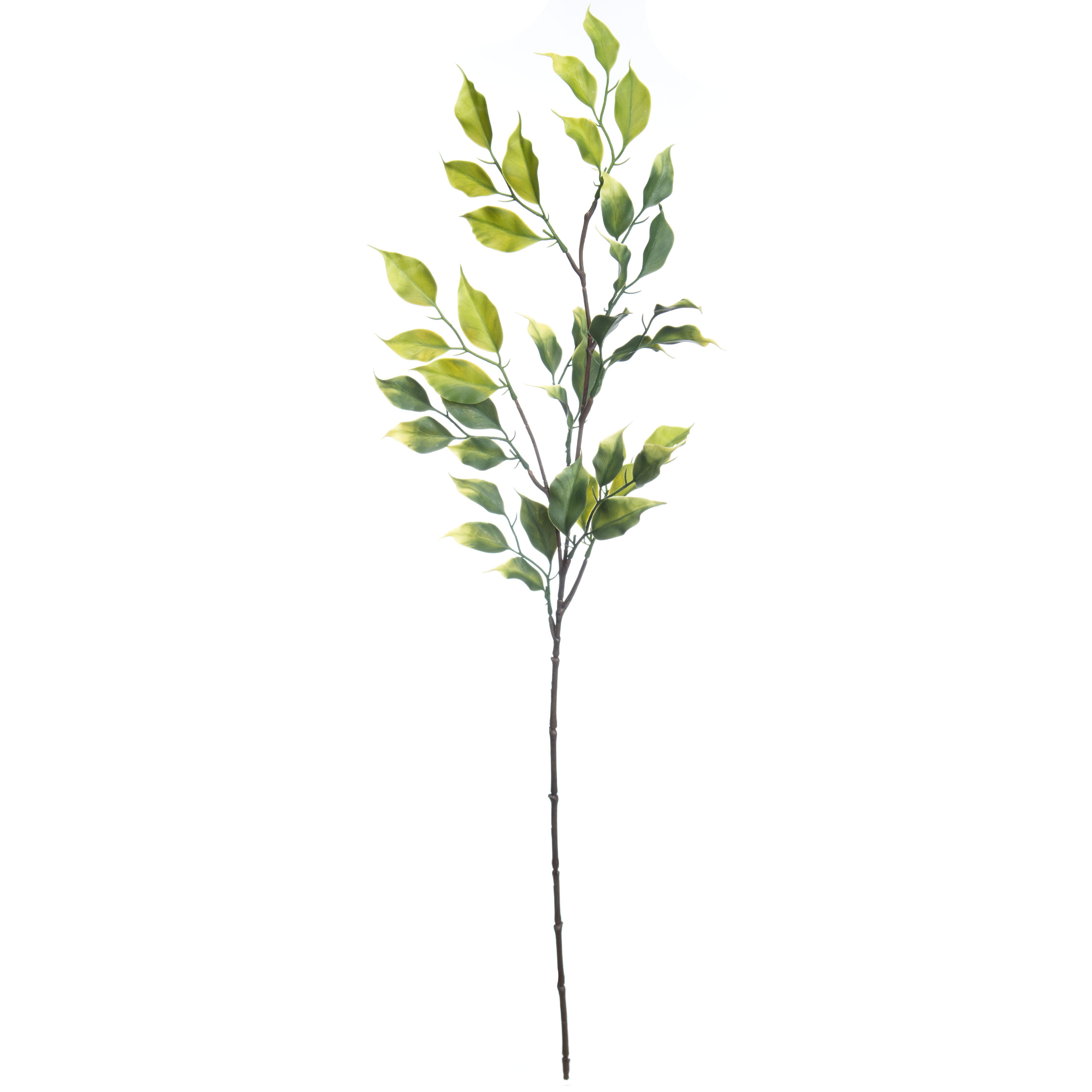 30" Green Ficus Stem by Ashland®