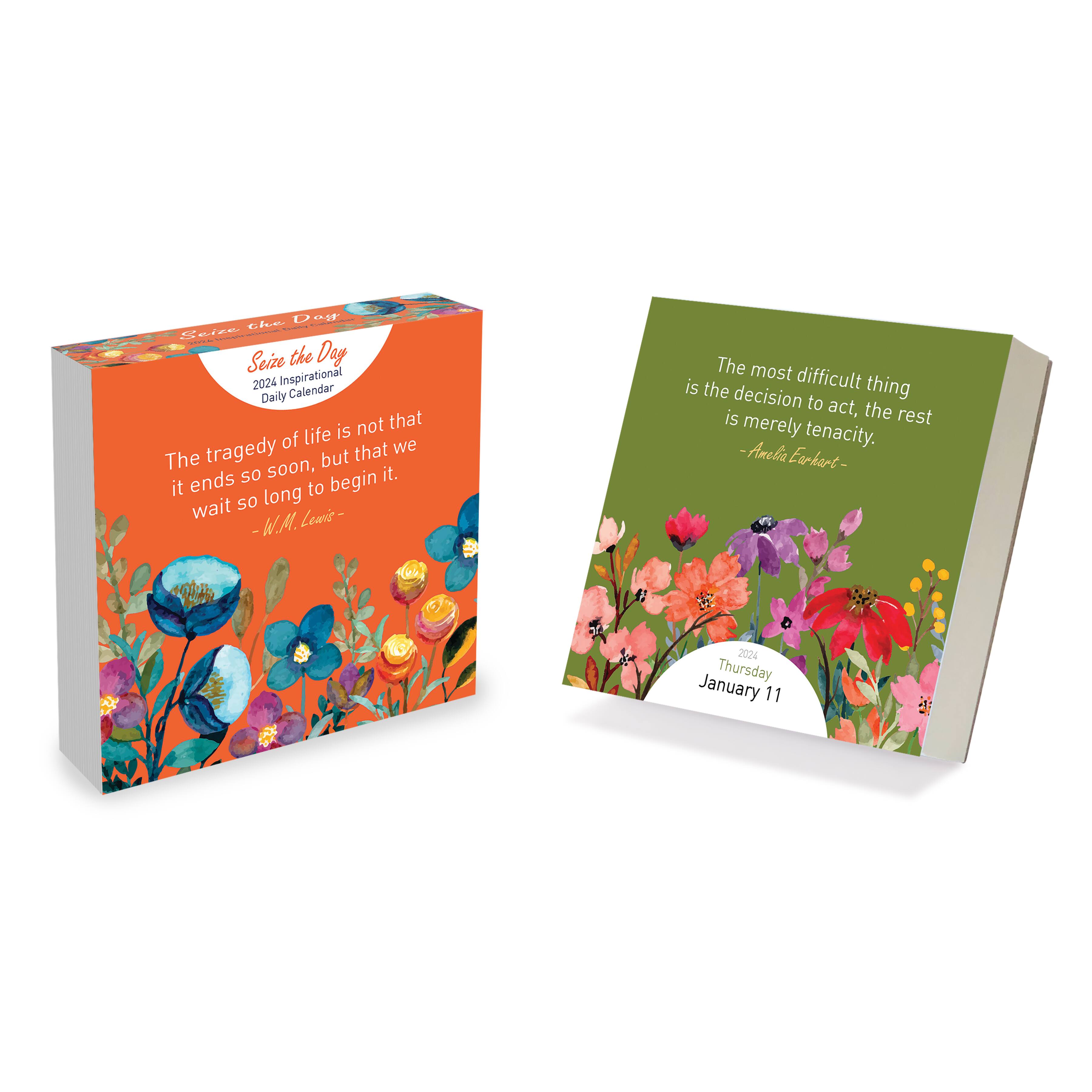 thumbnail image 2 of Daily Desk Calendar TF PUBLISHING 2024 Every Day's A Holiday Daily Desktop Calendar | Small Monthly Desk Calendar With Full-Color Tear-Off Pages | Standing Fold-Out Cardboard Easel For Desks | 5.25" X 2 of 10