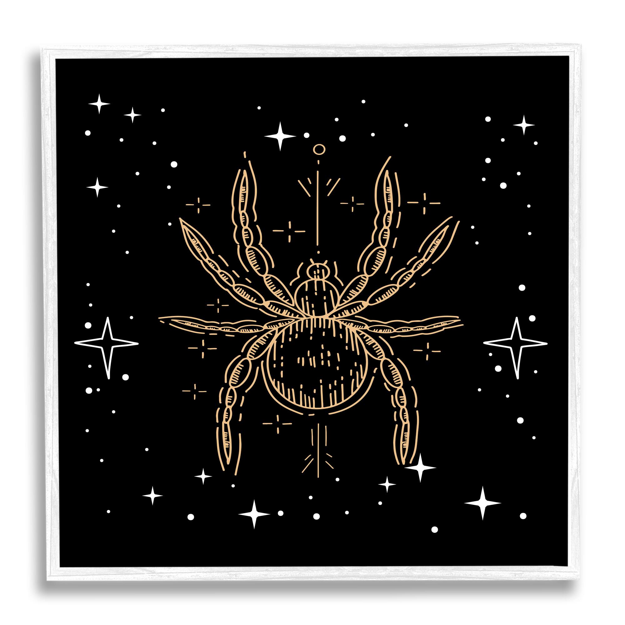 Stupell Industries Starry Halloween Spider Insect Framed Giclée Wall Art