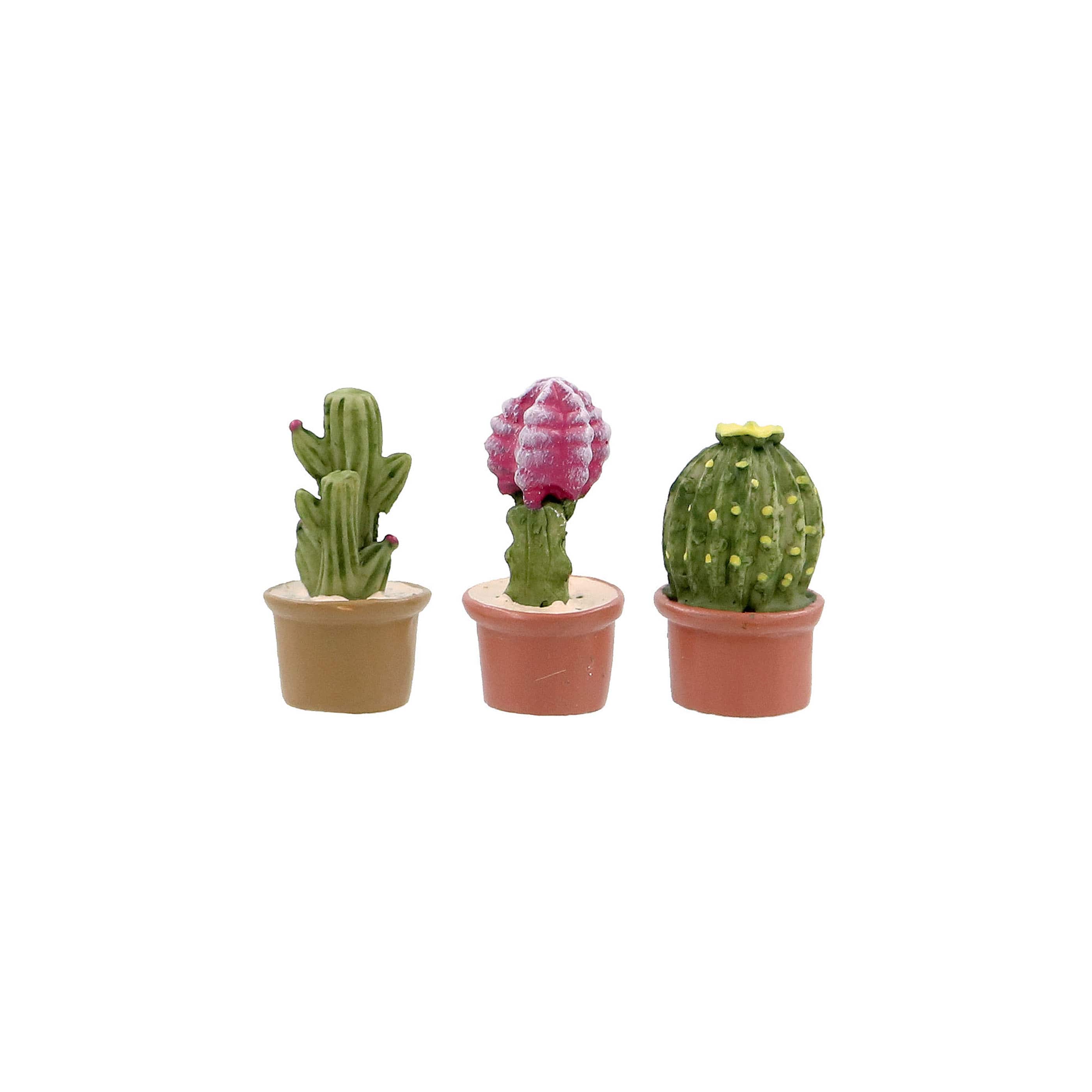 Mini Cactus Set by Make Market®