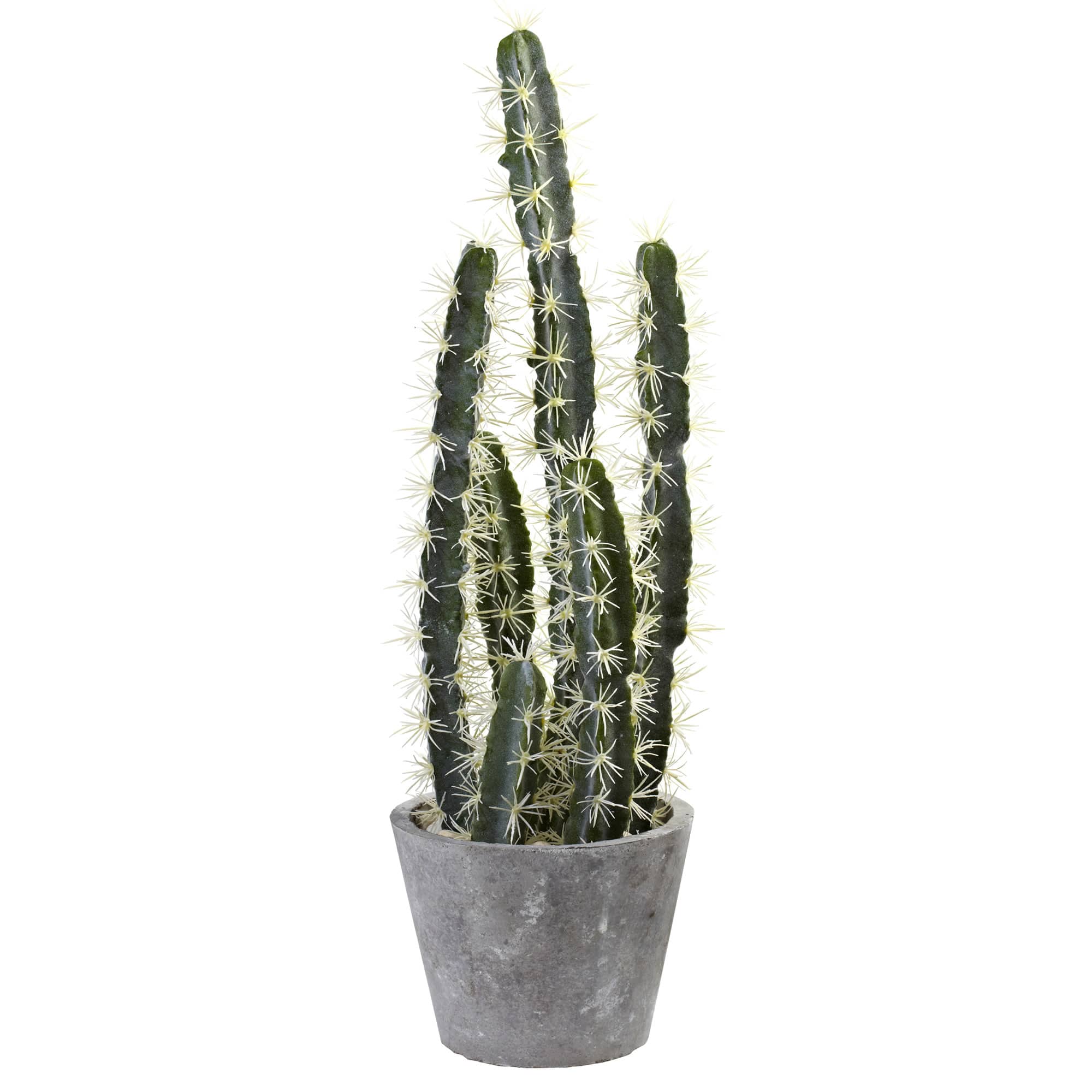 2ft. Cactus Garden In Cement Planter