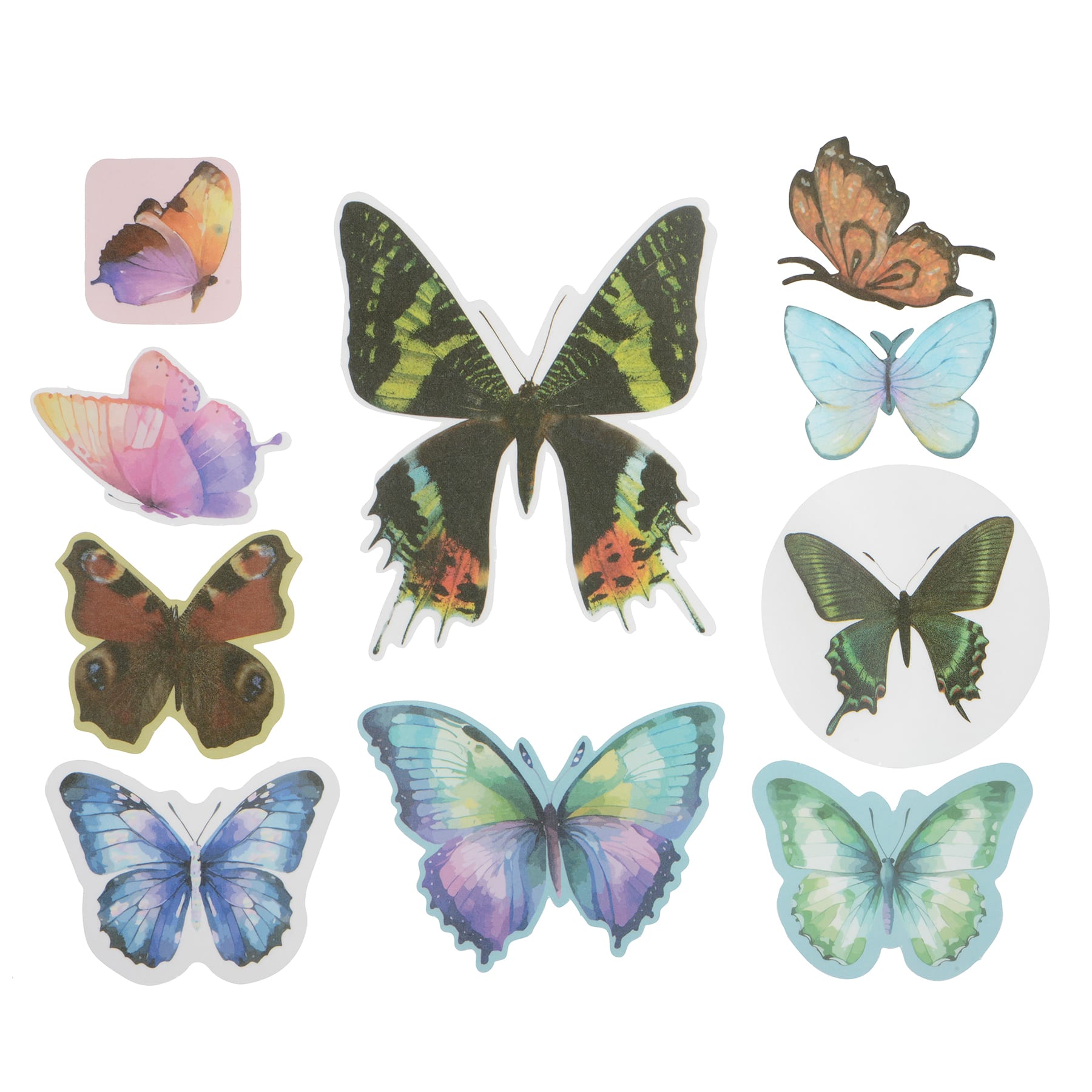 Butterfly Vellum Ephemera by Recollections&#x2122;