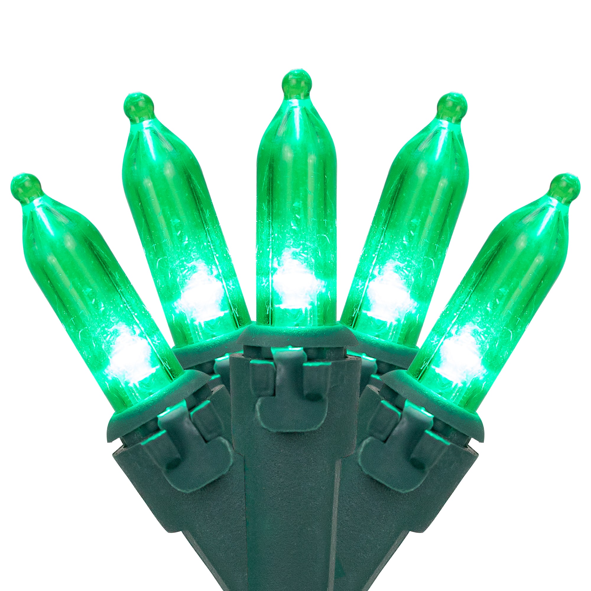 50ct. LED Mini Christmas String Lights with Green Wire