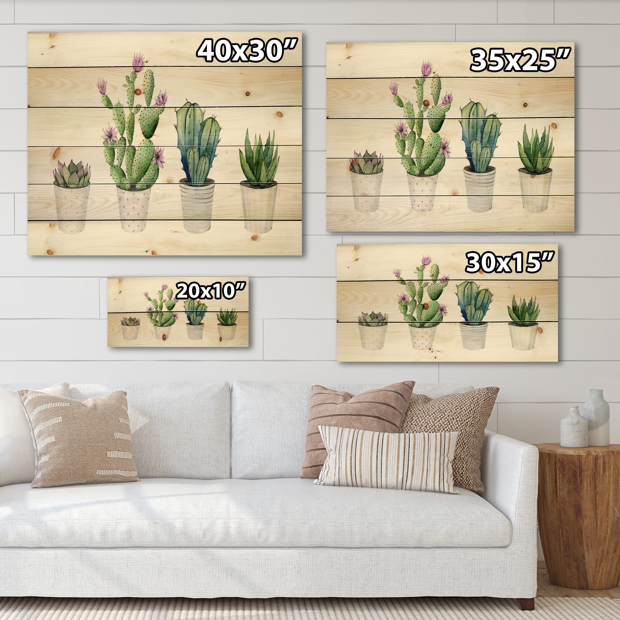 Designart - Cactus Succulent Aloe Vera Home Plants In The Pots