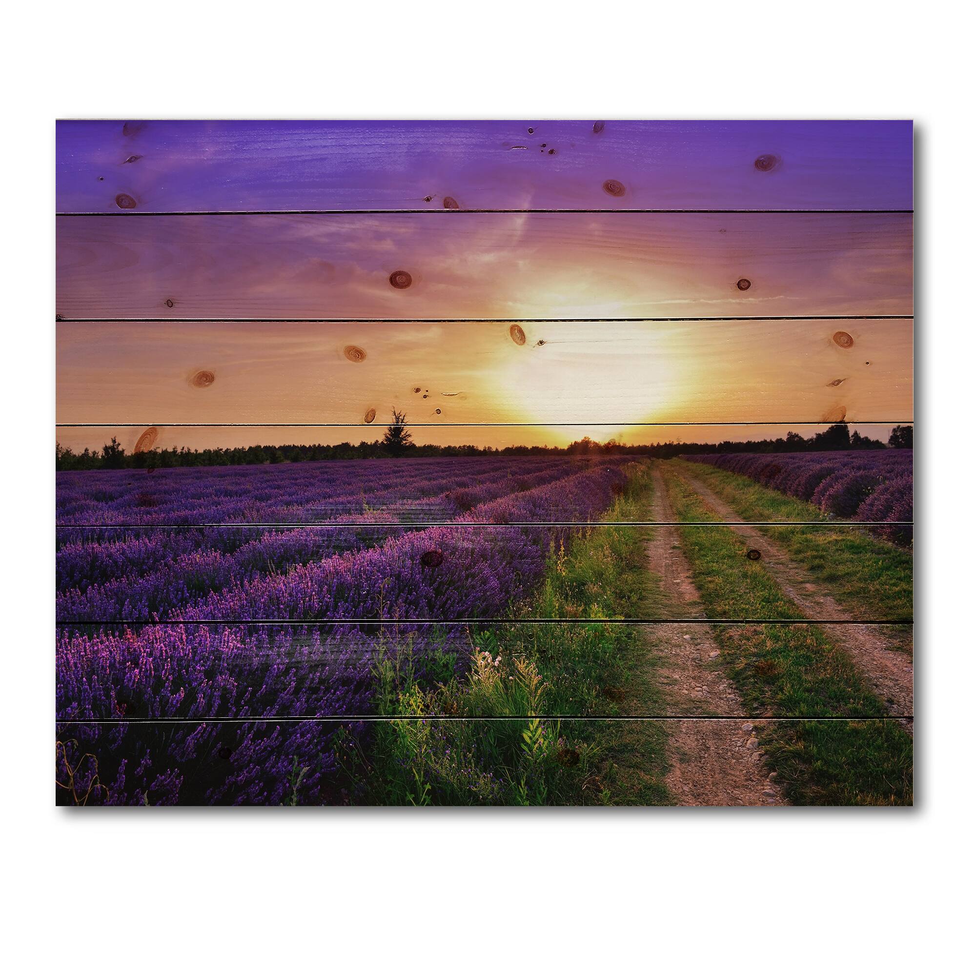 Designart - Lavender Field At Dawn II - Farmhouse Print on Natural Pine Wood